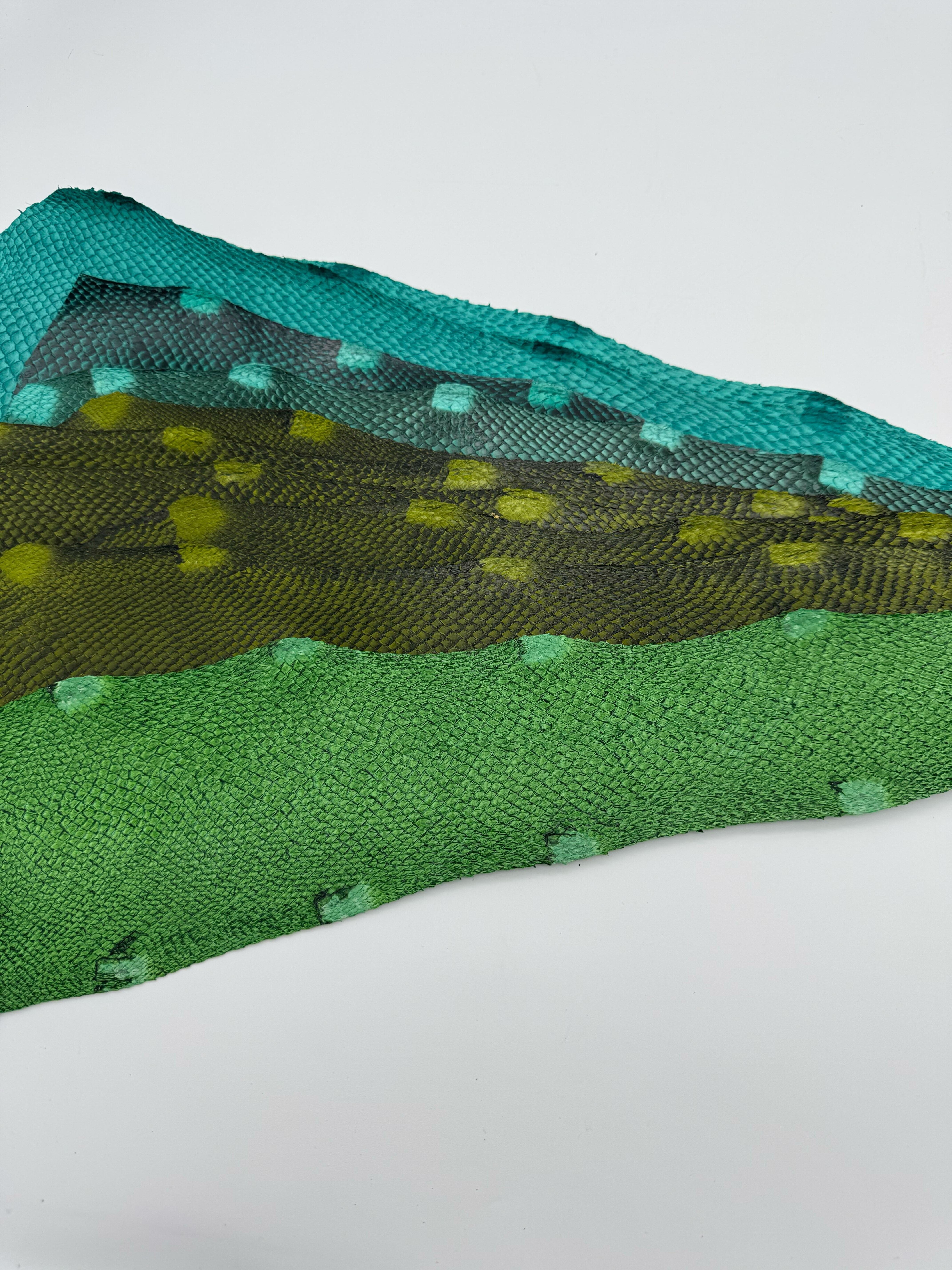 PACK de 10 SQUAMA DÉGRADÉ Autour des verts - Tailles Large - Choix 1 ICTYOS