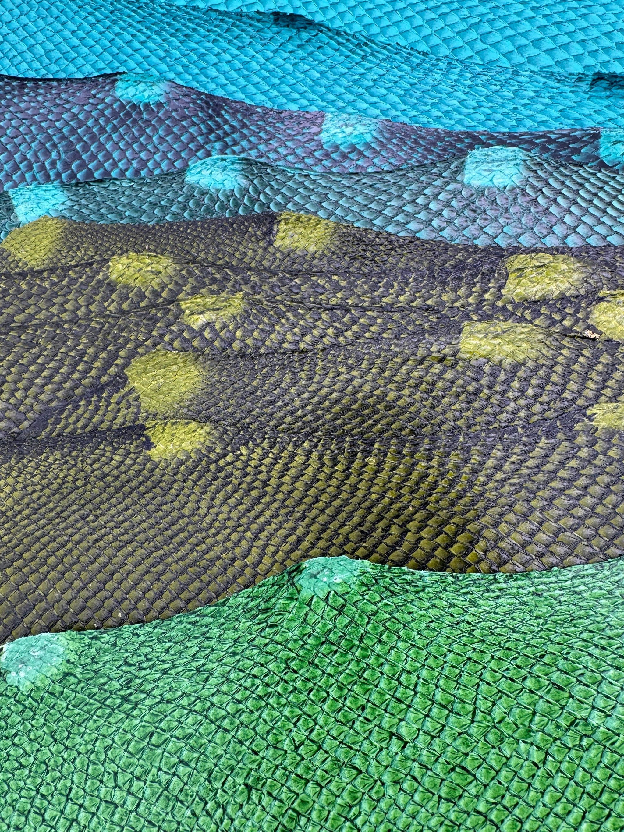 PACK de 10 SQUAMA DÉGRADÉ Autour des verts - Tailles Large - Choix 1 ICTYOS