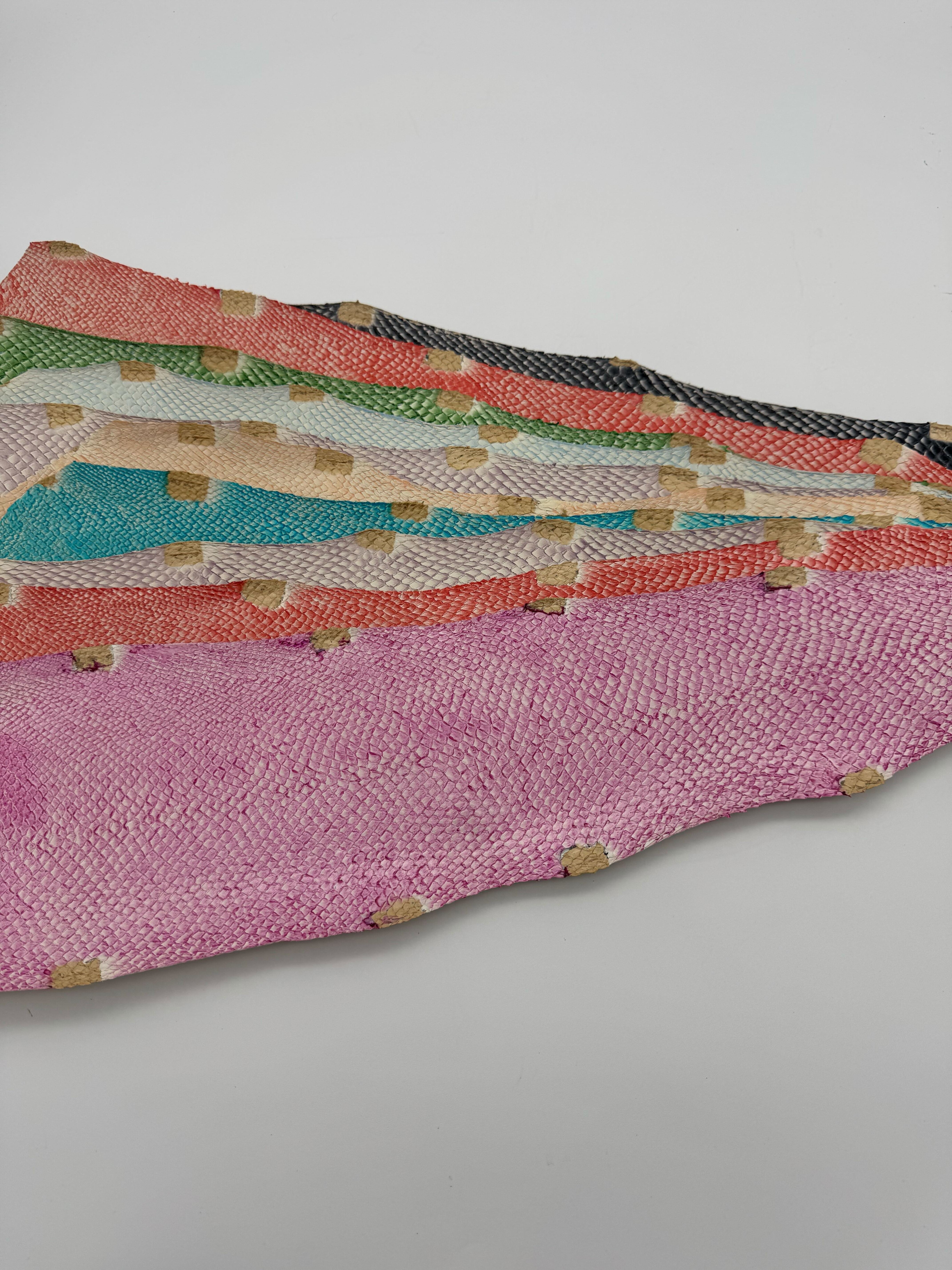 PACK de 10 SQUAMA DÉGRADÉ Multicolore #3 - Taille Large - Choix 1 ICTYOS