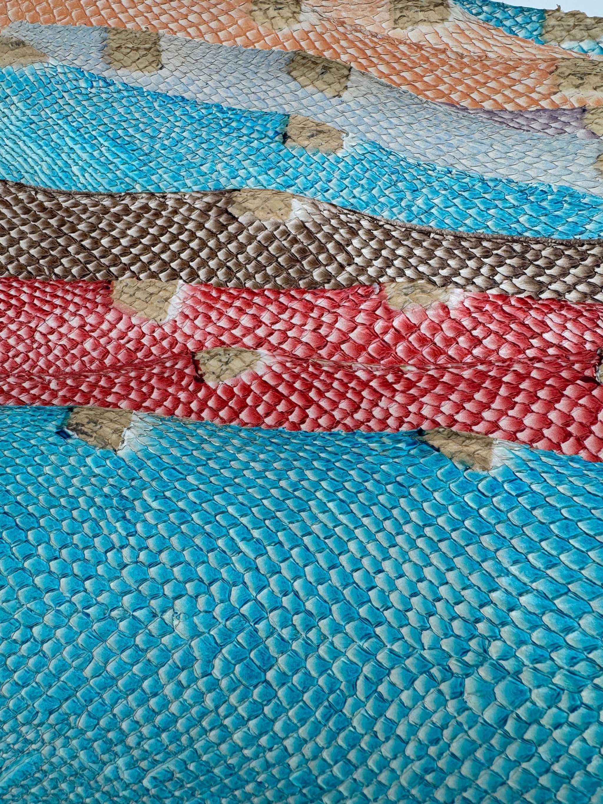 PACK de 10 SQUAMA DÉGRADÉ Multicolore #1 - Taille Large - Choix 1 ICTYOS