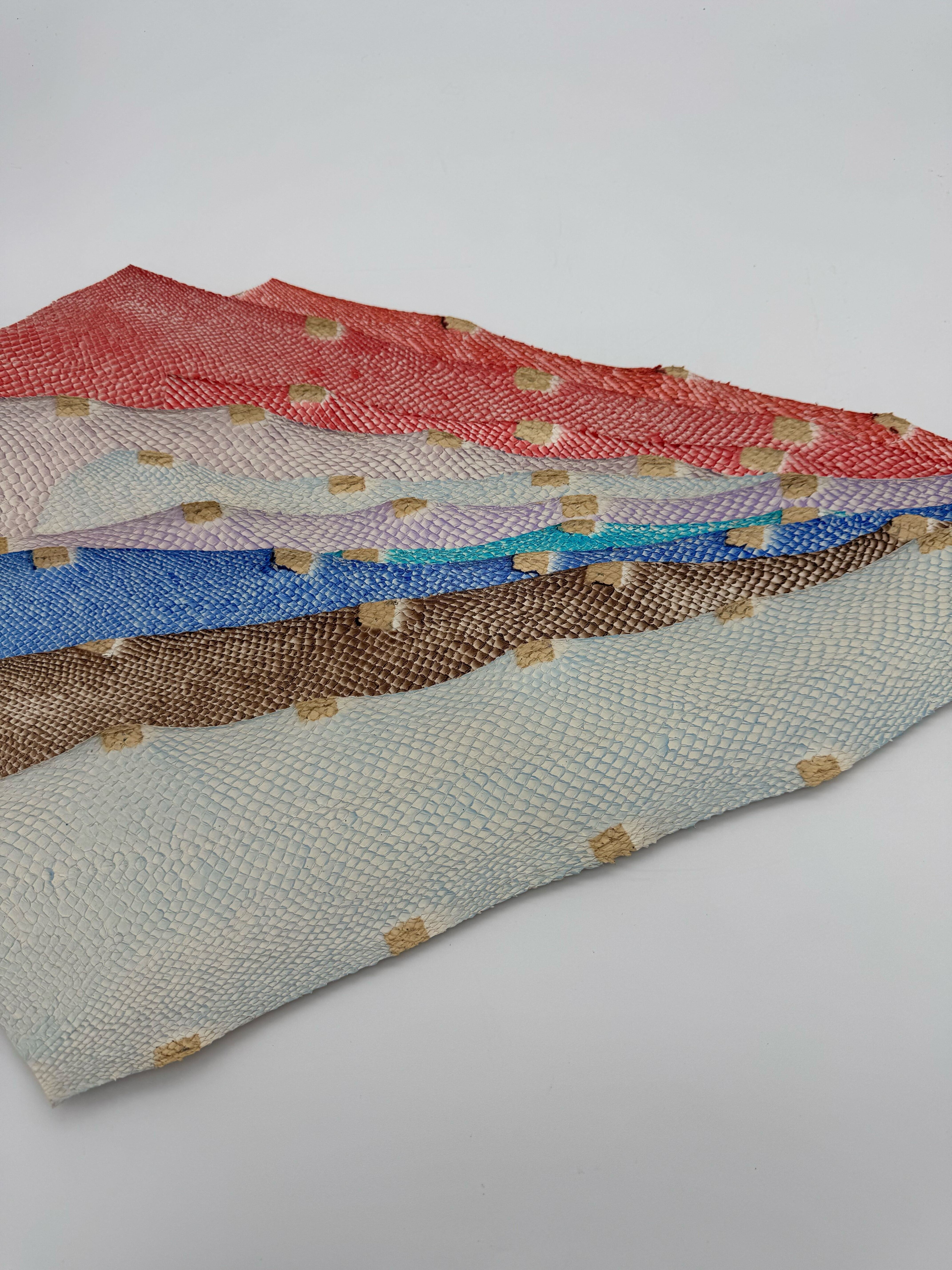 PACK de 10 SQUAMA DÉGRADÉ Multicolore #2 - Taille Large - Choix 1 ICTYOS