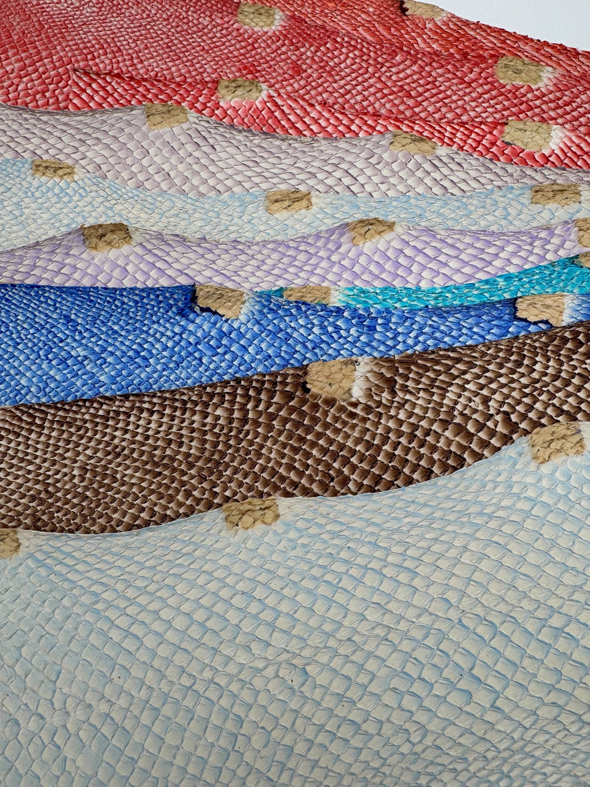 PACK de 10 SQUAMA DÉGRADÉ Multicolore #2 - Taille Large - Choix 1 ICTYOS