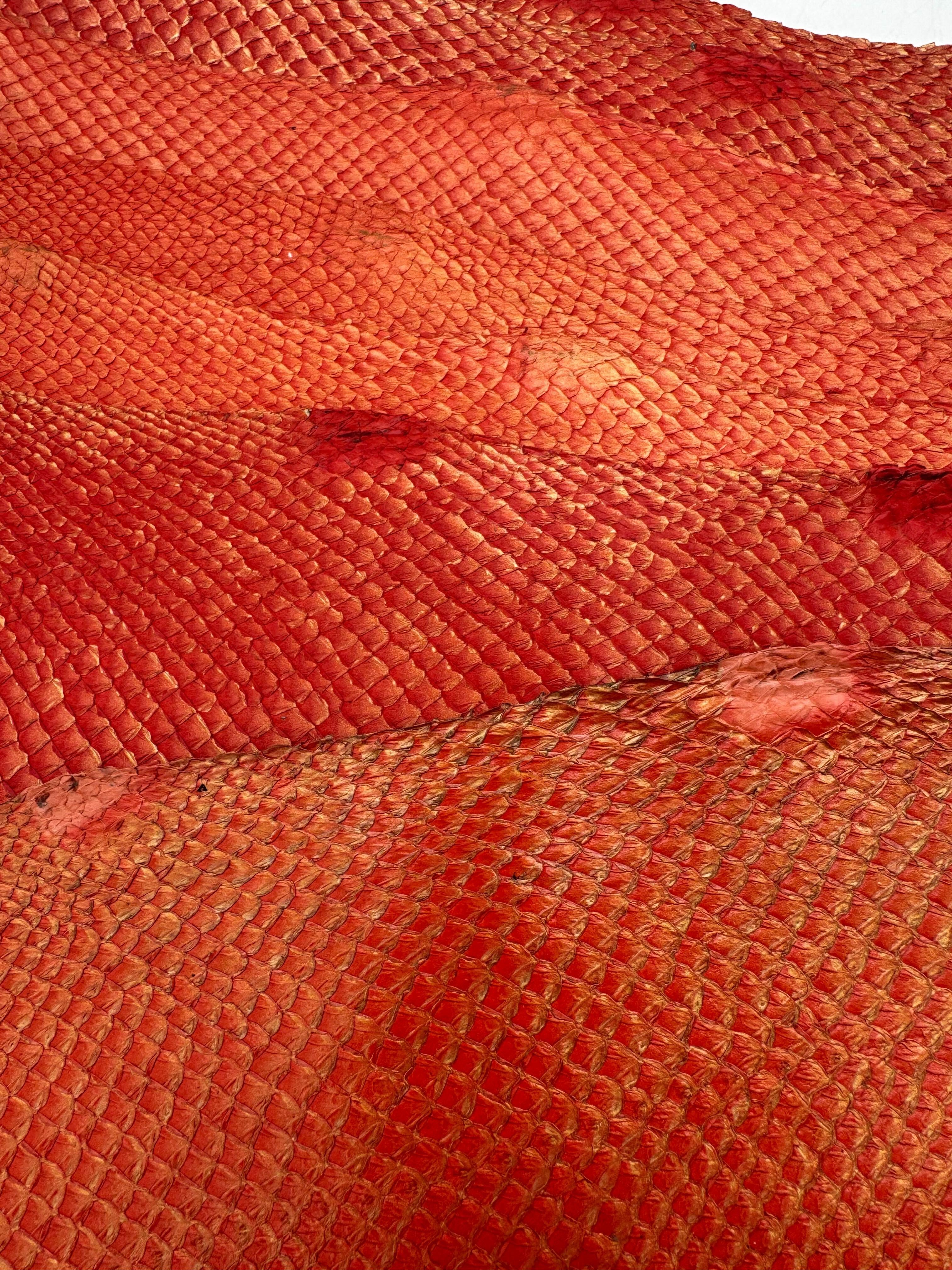 PACK de 10 SQUAMA DÉGRADÉ Or sur rouge - Taille Large - Choix 1 ICTYOS