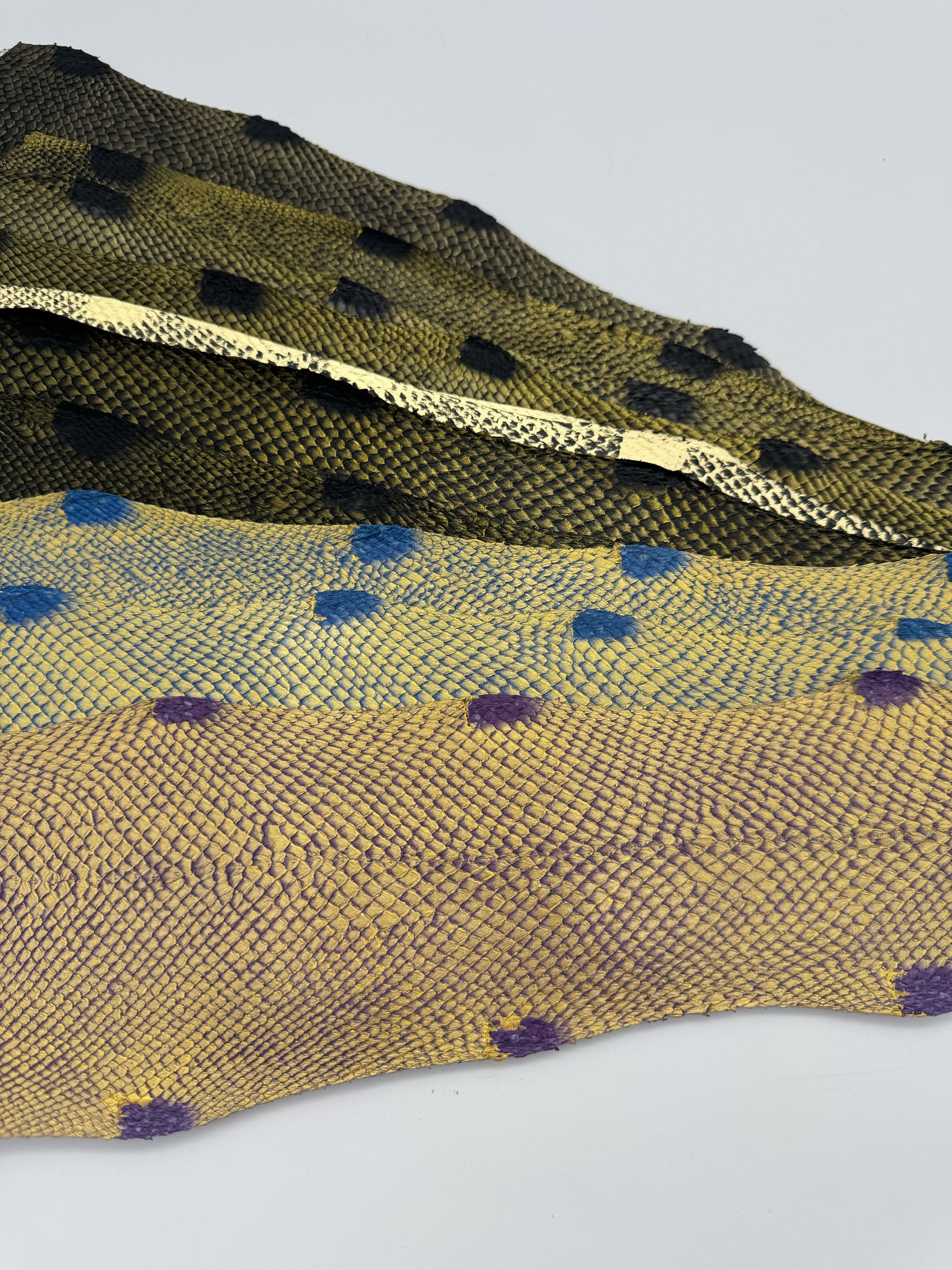 PACK de 10 SQUAMA DÉGRADÉ Doré Multicolore #2 - Tailles Large - Choix 1 ICTYOS