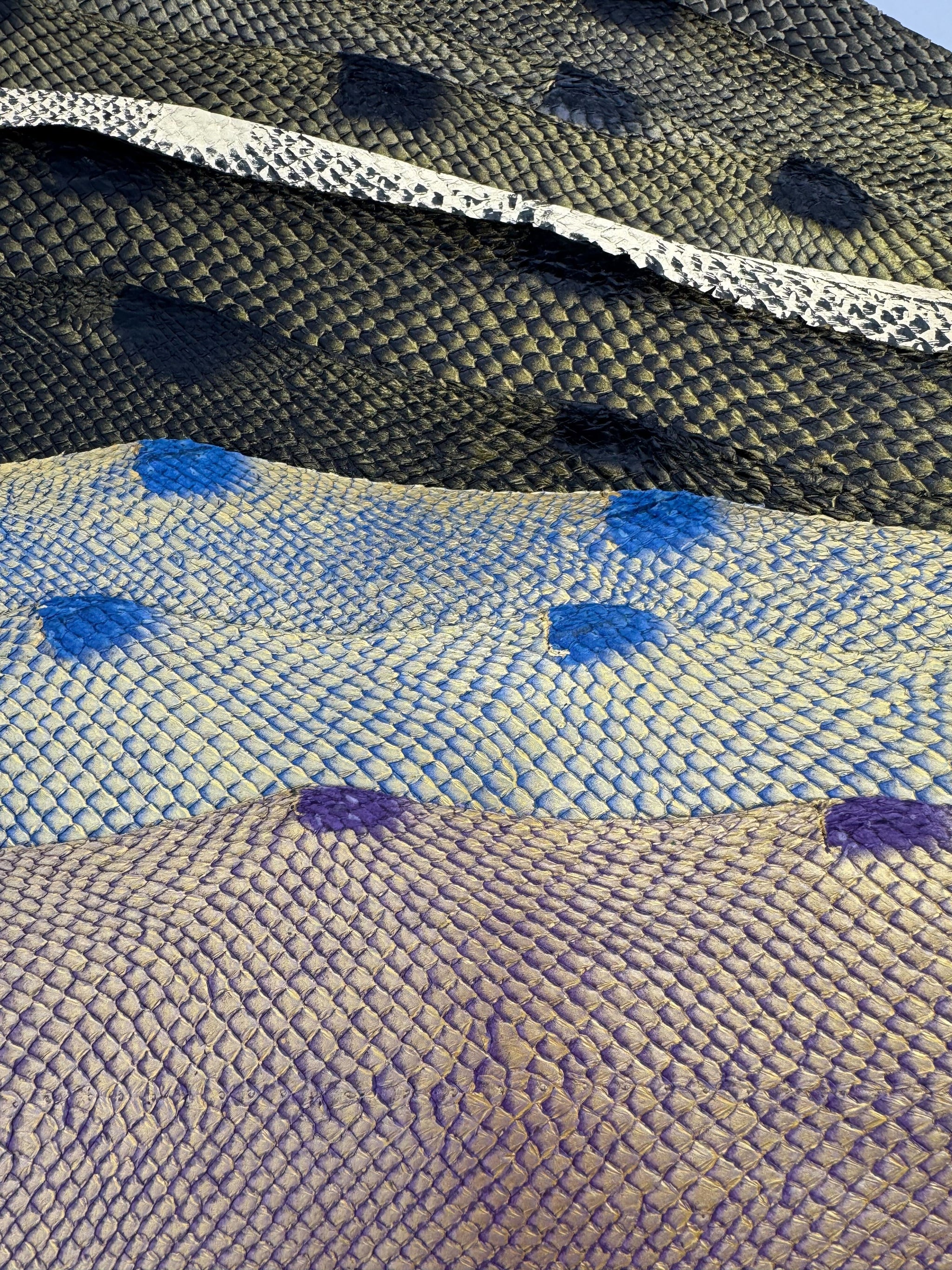 PACK de 10 SQUAMA DÉGRADÉ Doré Multicolore #2 - Tailles Large - Choix 1 ICTYOS