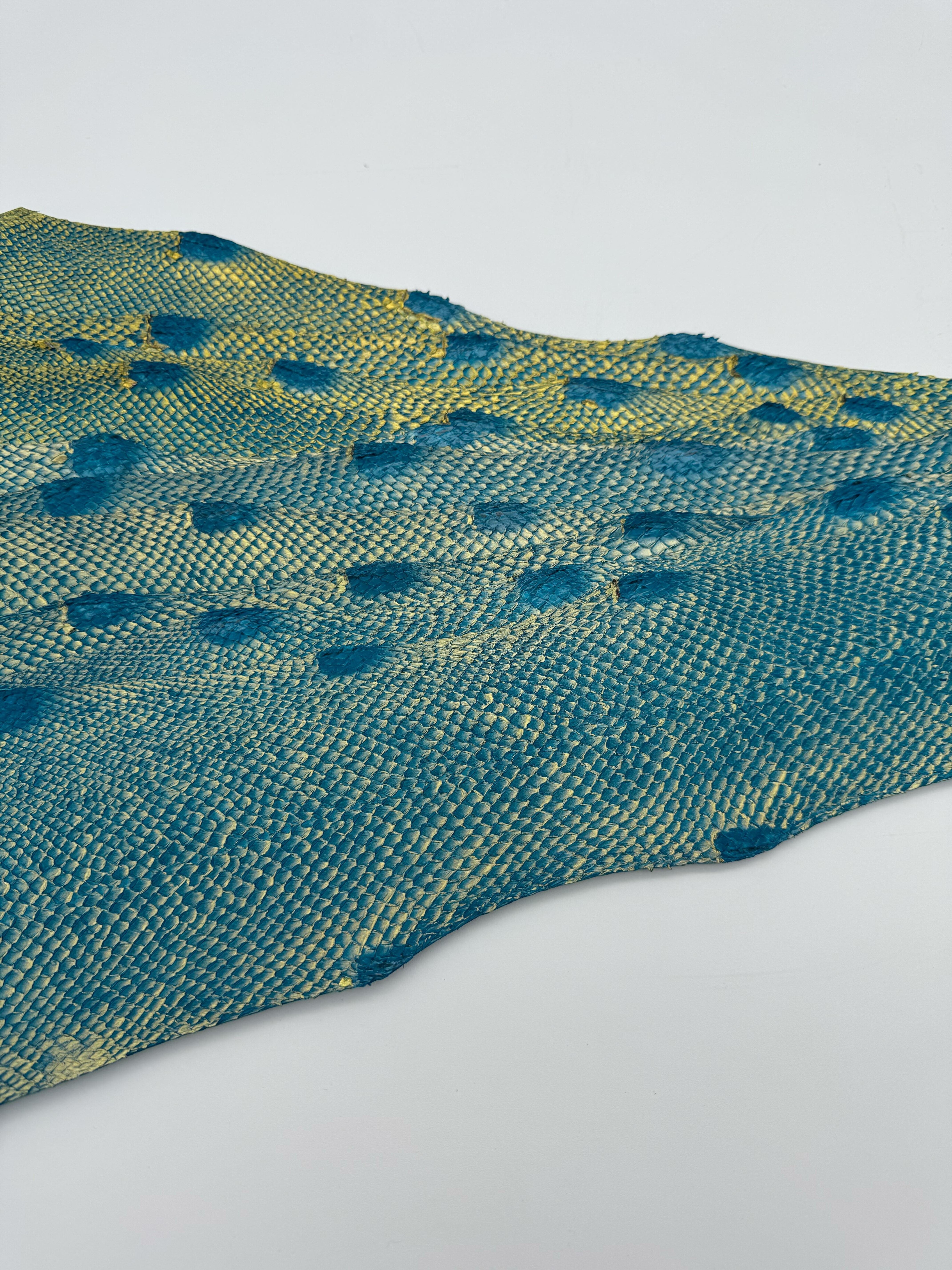 PACK de 10 SQUAMA DÉGRADÉ Or sur bleu - Taille Large - Choix 1 ICTYOS