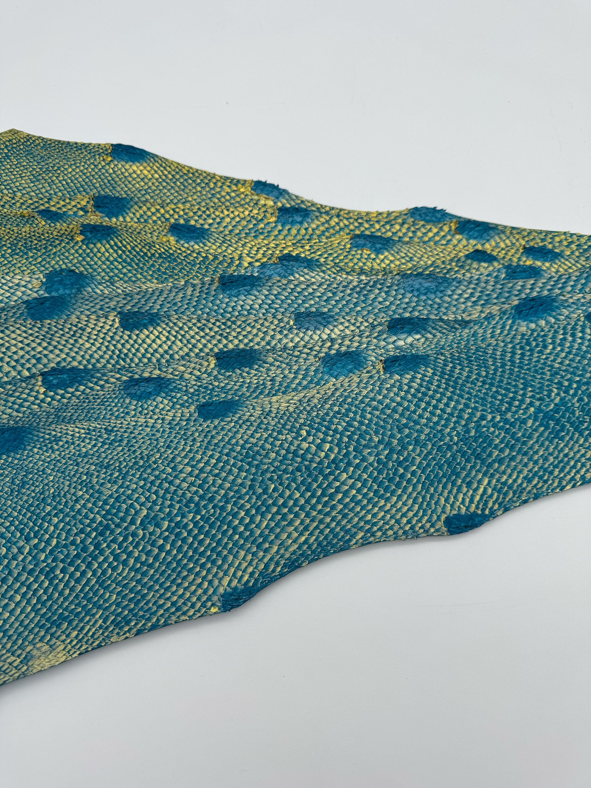 PACK de 10 SQUAMA DÉGRADÉ Or sur bleu - Taille Large - Choix 1 ICTYOS