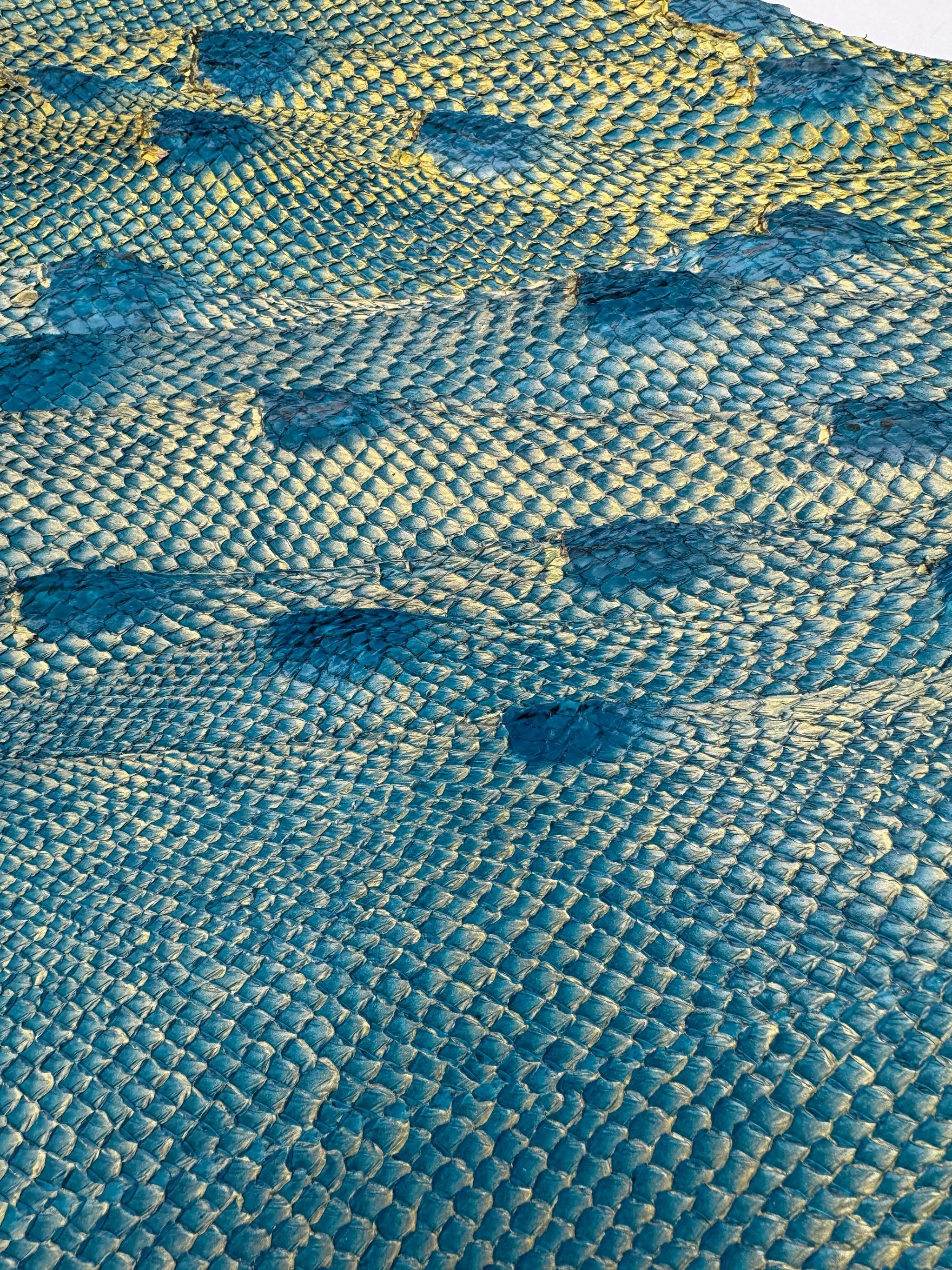 PACK de 10 SQUAMA DÉGRADÉ Or sur bleu - Taille Large - Choix 1 ICTYOS