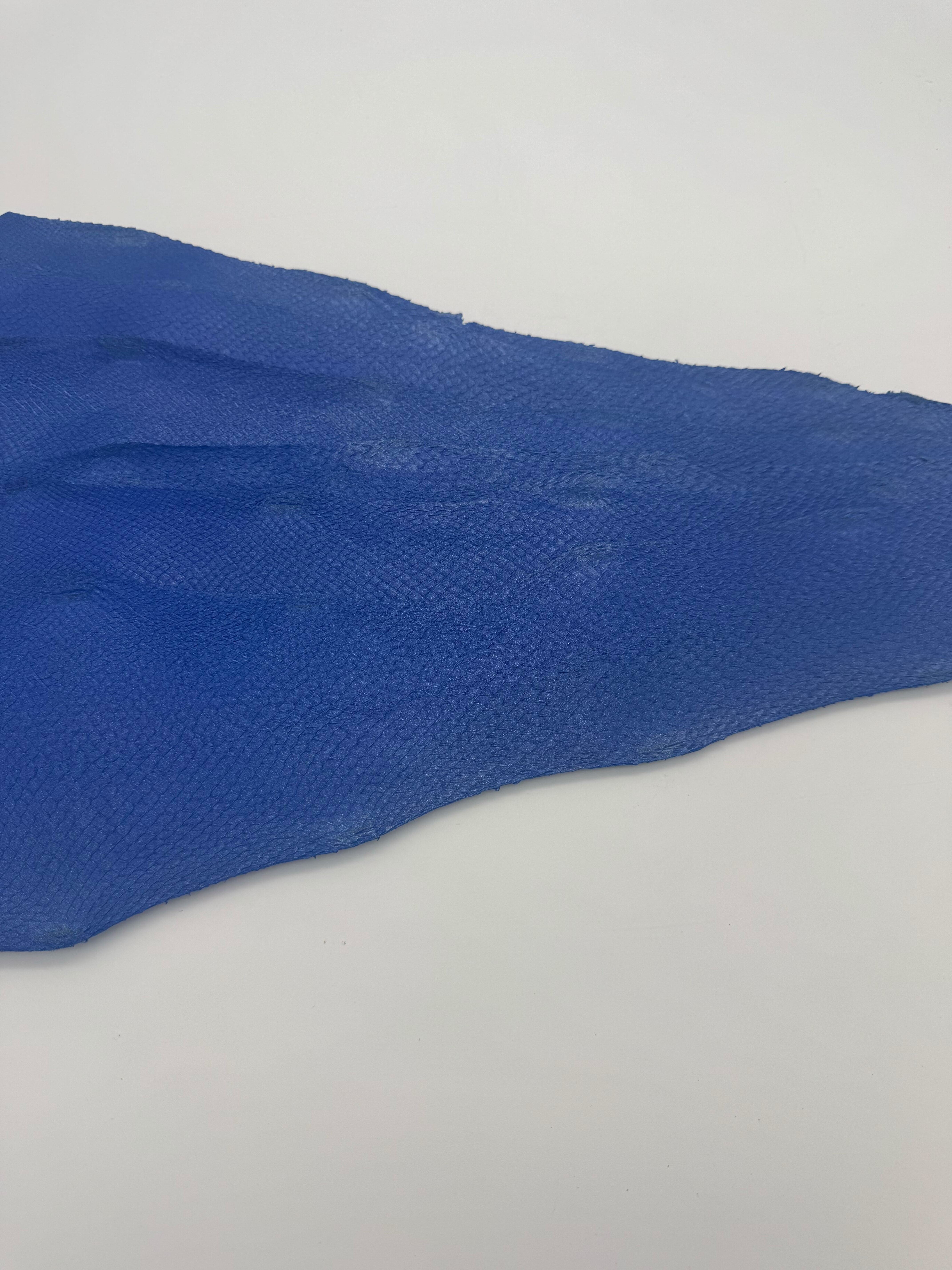 PACK de 10 SQUAMA MÉTALLISÉ Bleu paillette - Taille Large - Choix 1 ICTYOS