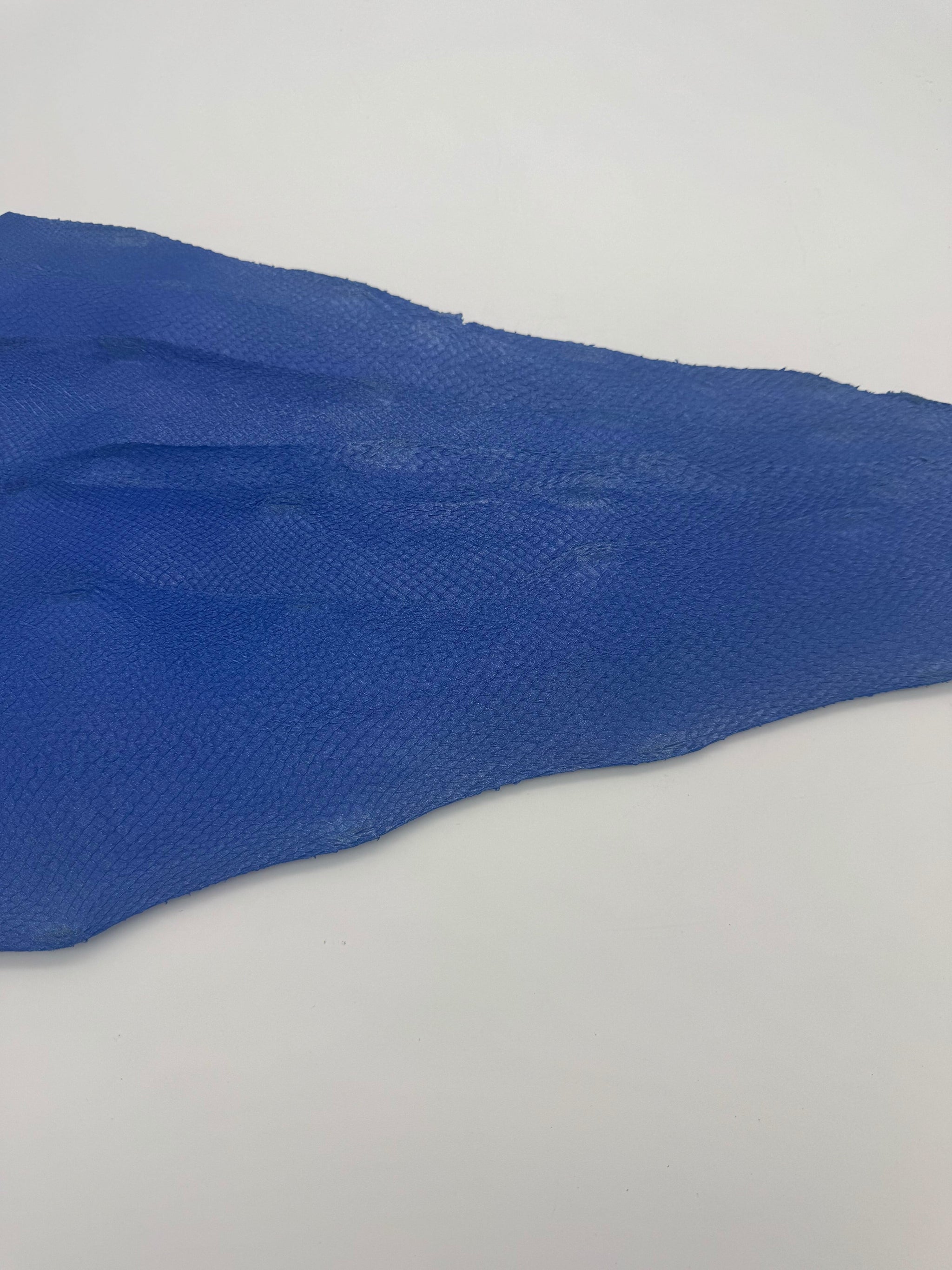 PACK de 10 SQUAMA MÉTALLISÉ Bleu paillette - Taille Large - Choix 1 ICTYOS