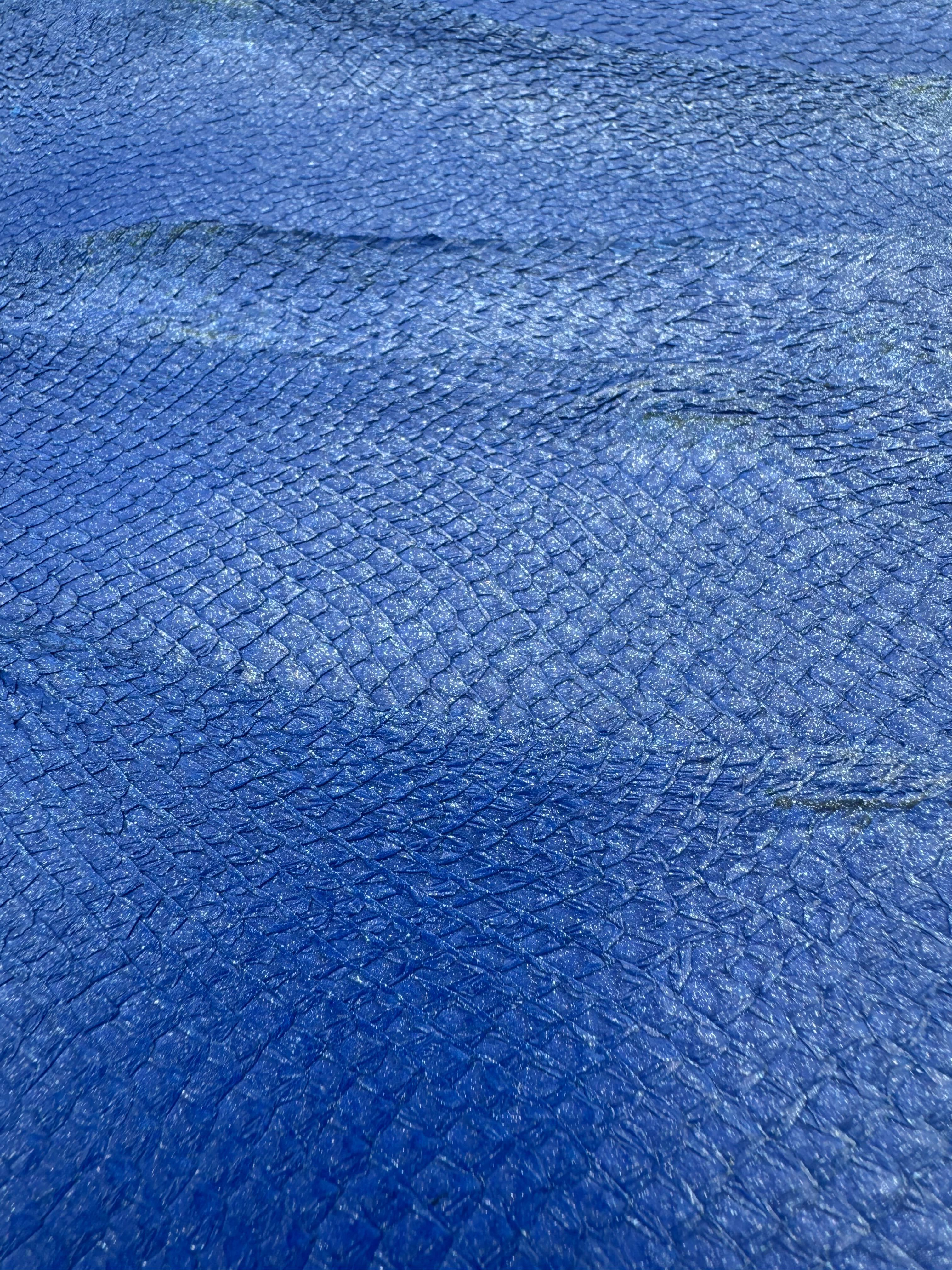 PACK de 10 SQUAMA MÉTALLISÉ Bleu paillette - Taille Large - Choix 1 ICTYOS