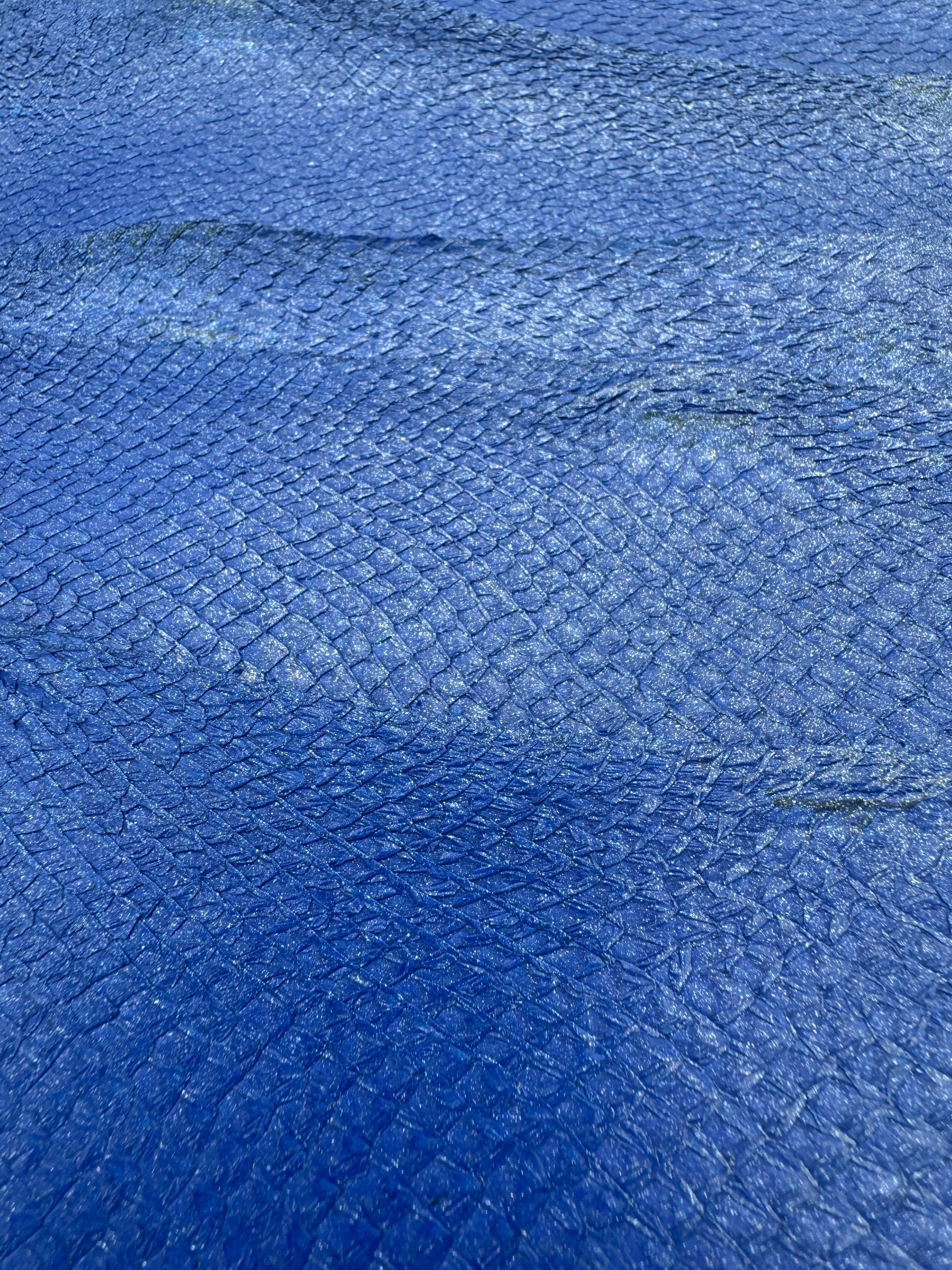 PACK de 10 SQUAMA MÉTALLISÉ Bleu paillette - Taille Large - Choix 1 ICTYOS