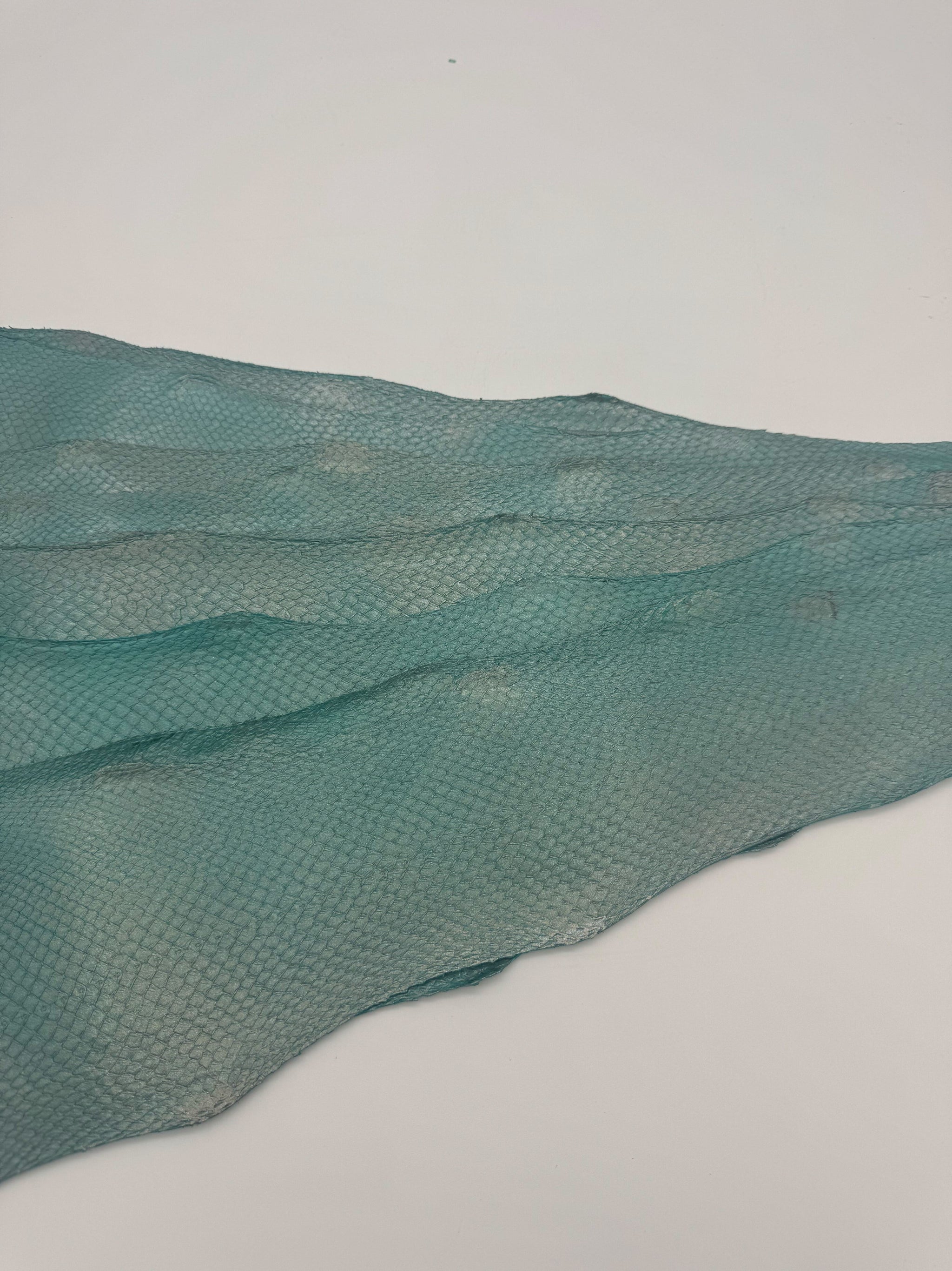 PACK de 10 SQUAMA MÉTALLISÉ Vert antique - Taille Large - Choix 1 ICTYOS