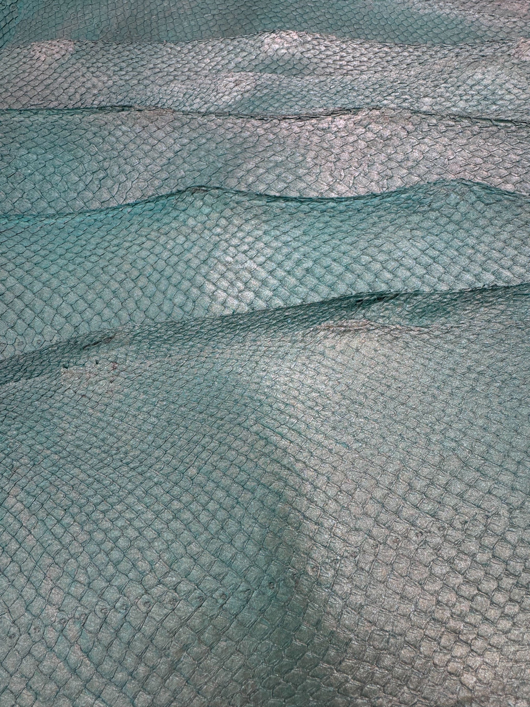 PACK de 10 SQUAMA MÉTALLISÉ Vert antique - Taille Large - Choix 1 ICTYOS