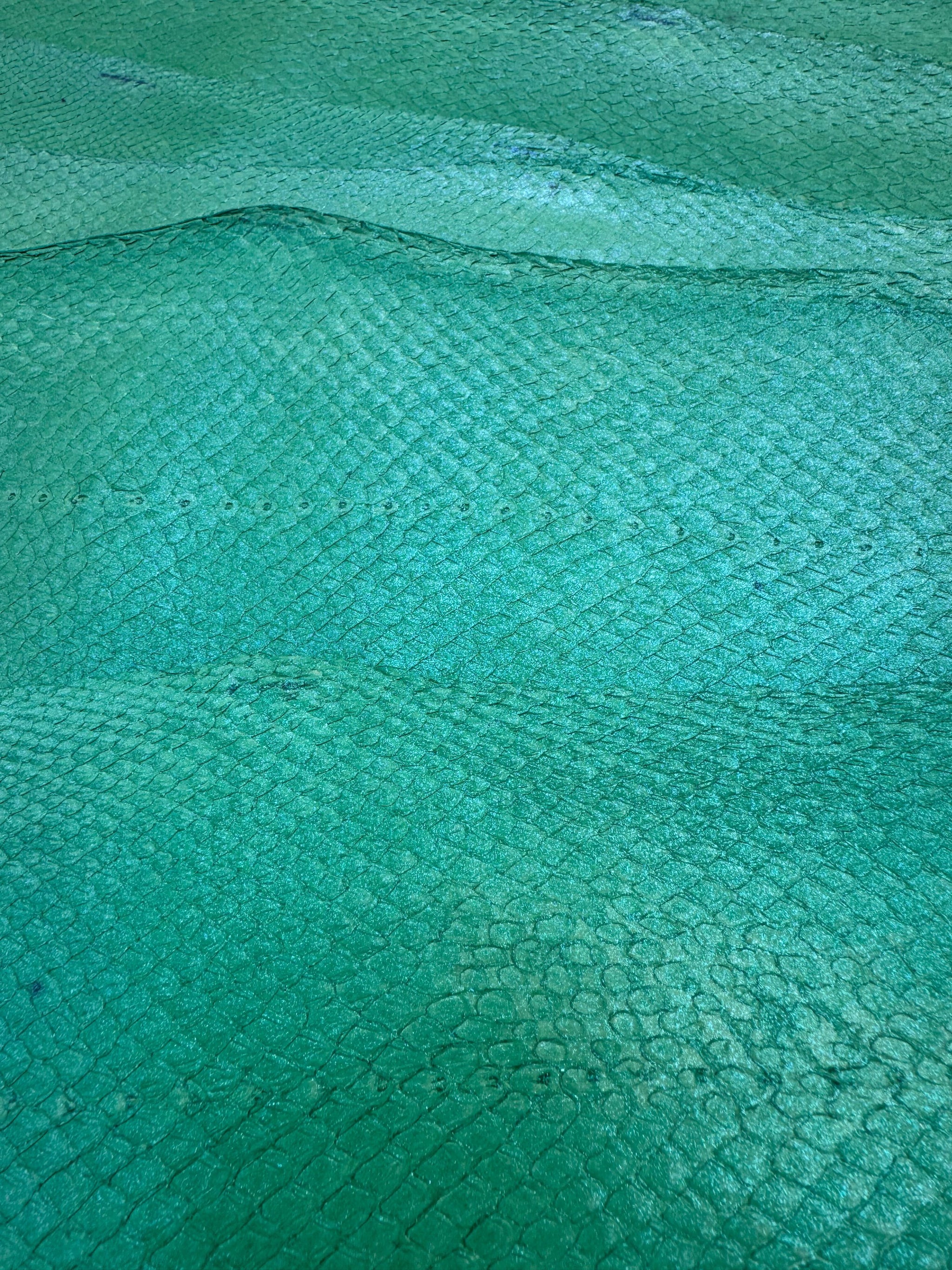 PACK de 10 SQUAMA MÉTALLISÉ Vert d'eau - Taille Medium - Choix 1 ICTYOS