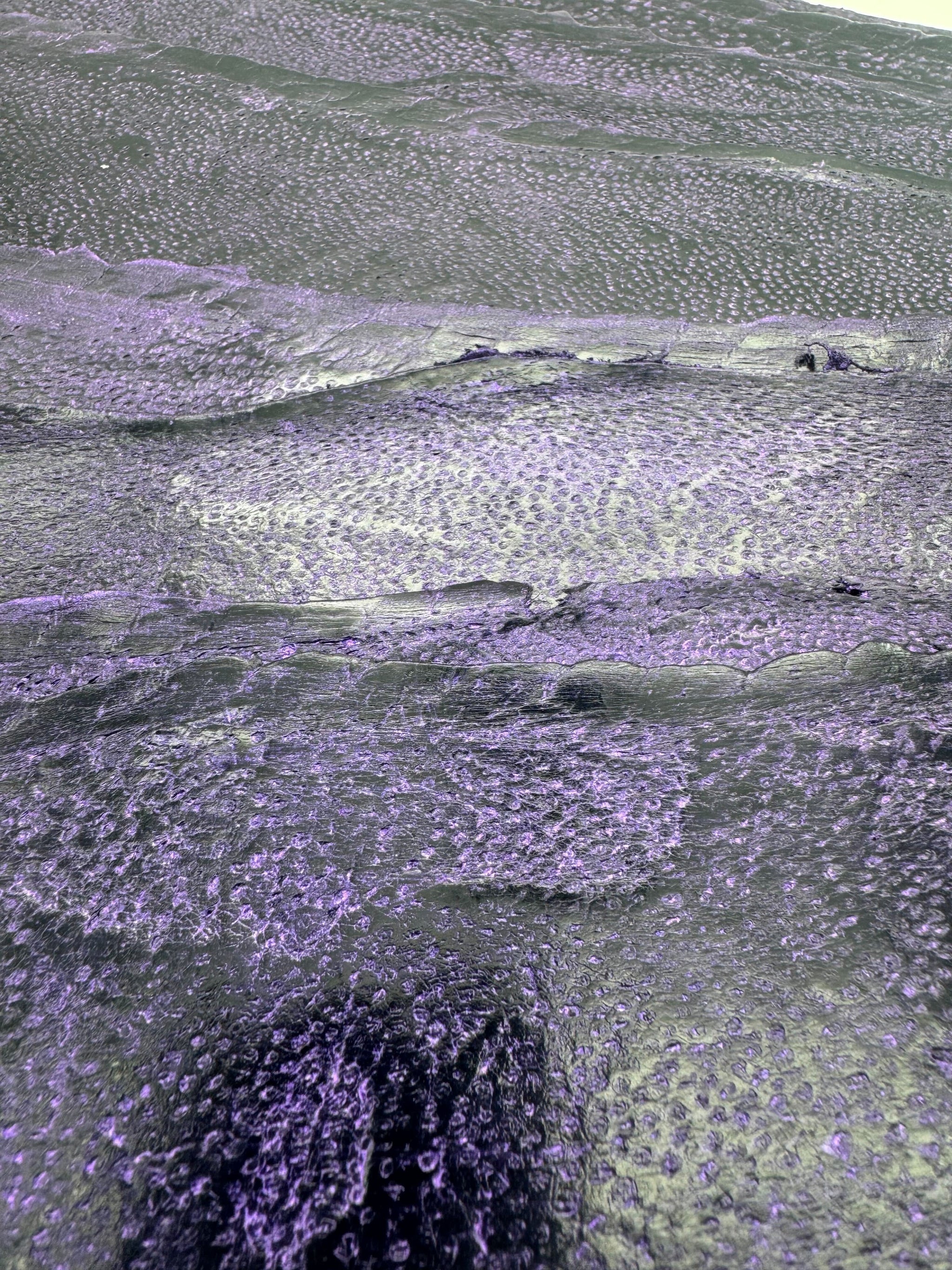 PACK DE 10 NAYA® DÉLAVÉ Violet - Large ictyos-store