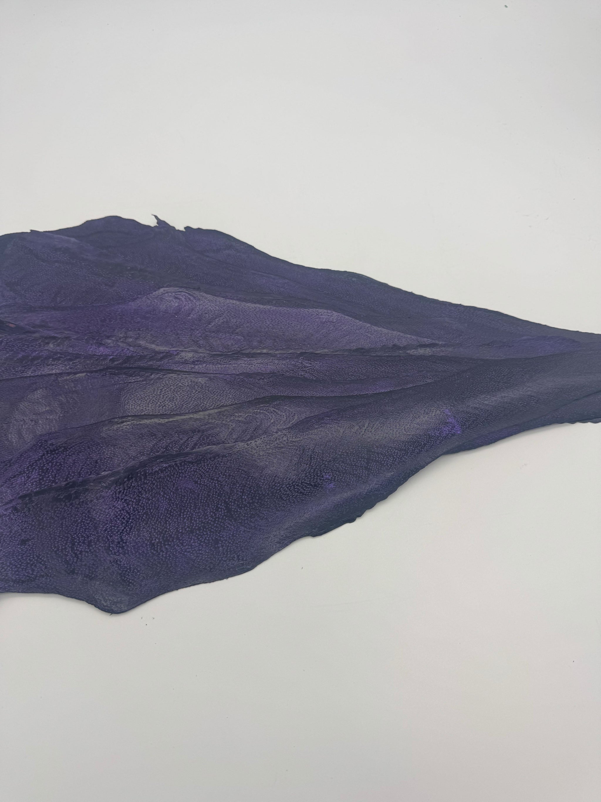 PACK DE 10 NAYA® DÉLAVÉ Violet - Medium ictyos-store