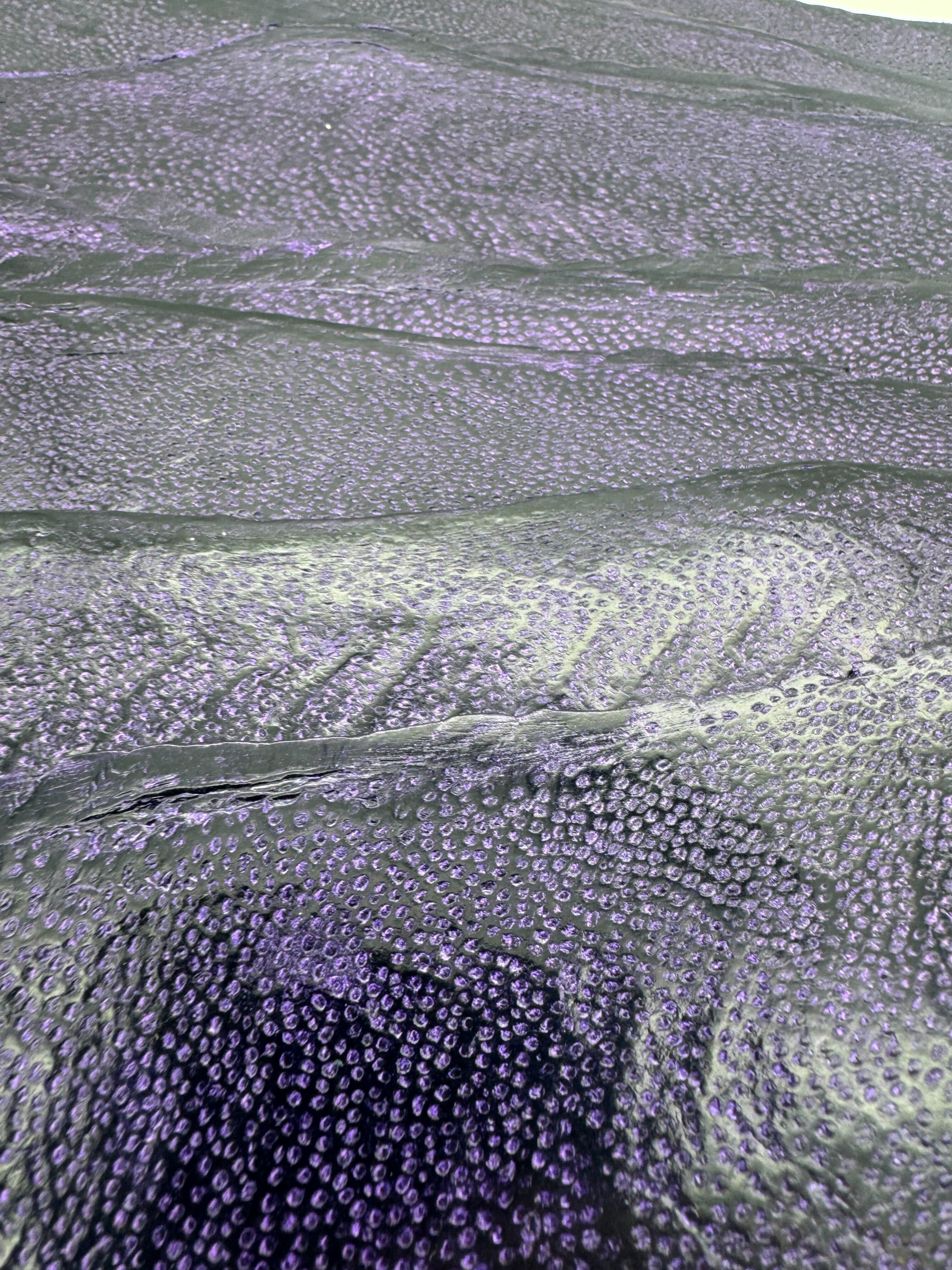 PACK DE 10 NAYA® DÉLAVÉ Violet - Medium ictyos-store