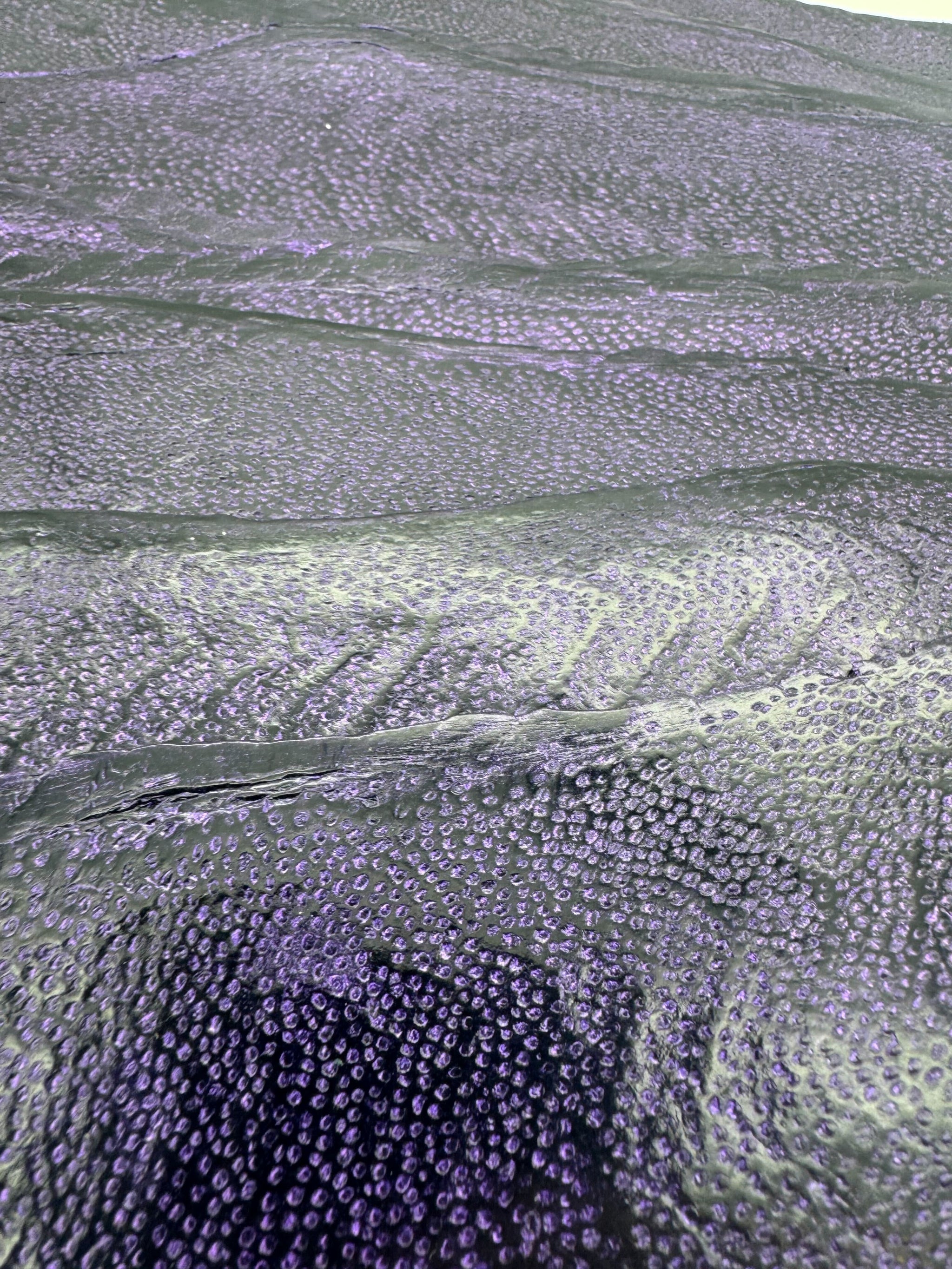 PACK DE 10 NAYA® DÉLAVÉ Violet - Medium ictyos-store