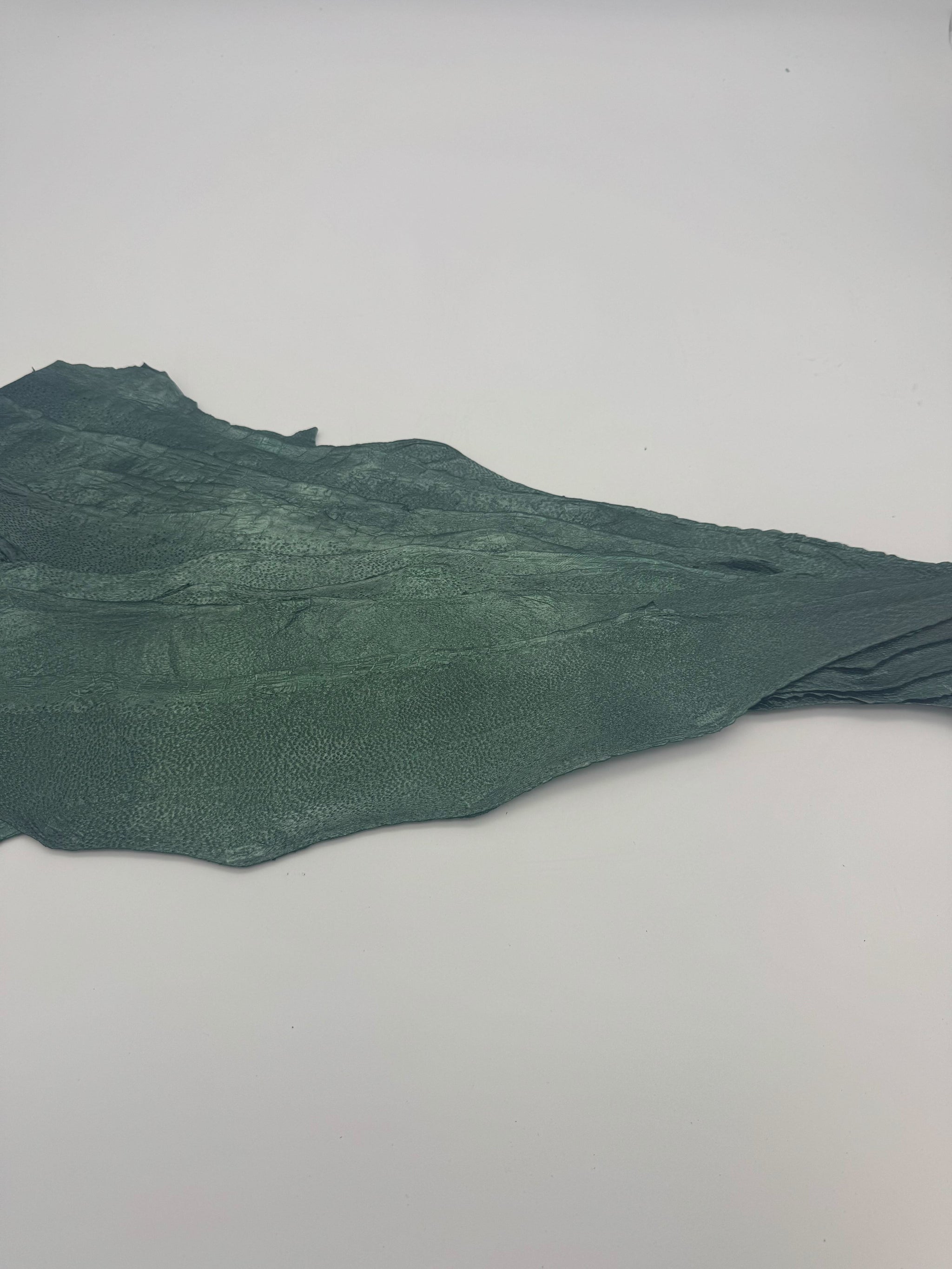 PACK DE 10 NAYA® MÉTALLISÉ Vert - Large ictyos-store