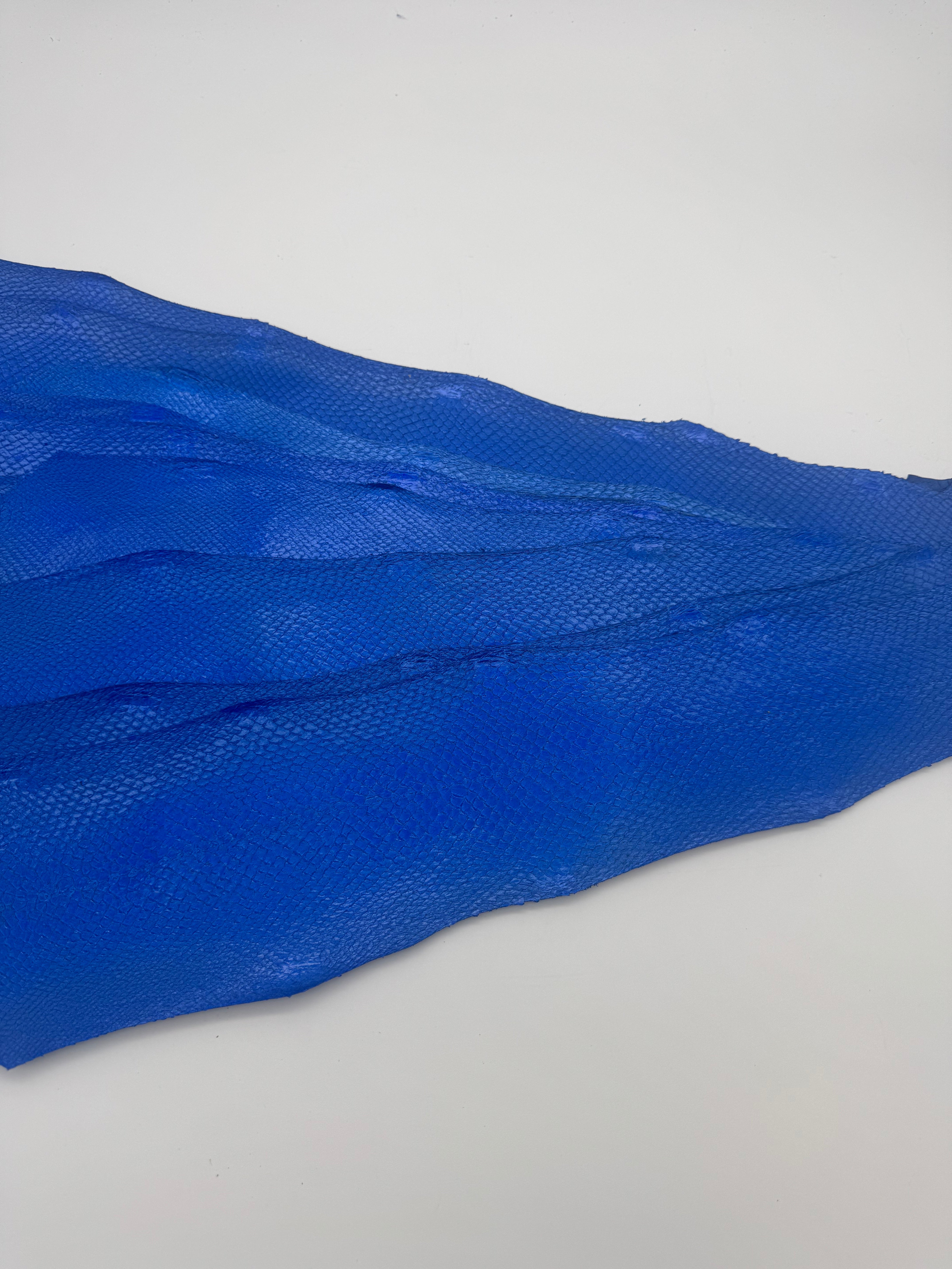 PACK de 10 SQUAMA MÉTALLISÉ Bleu - Taille Large - Choix 1 ICTYOS