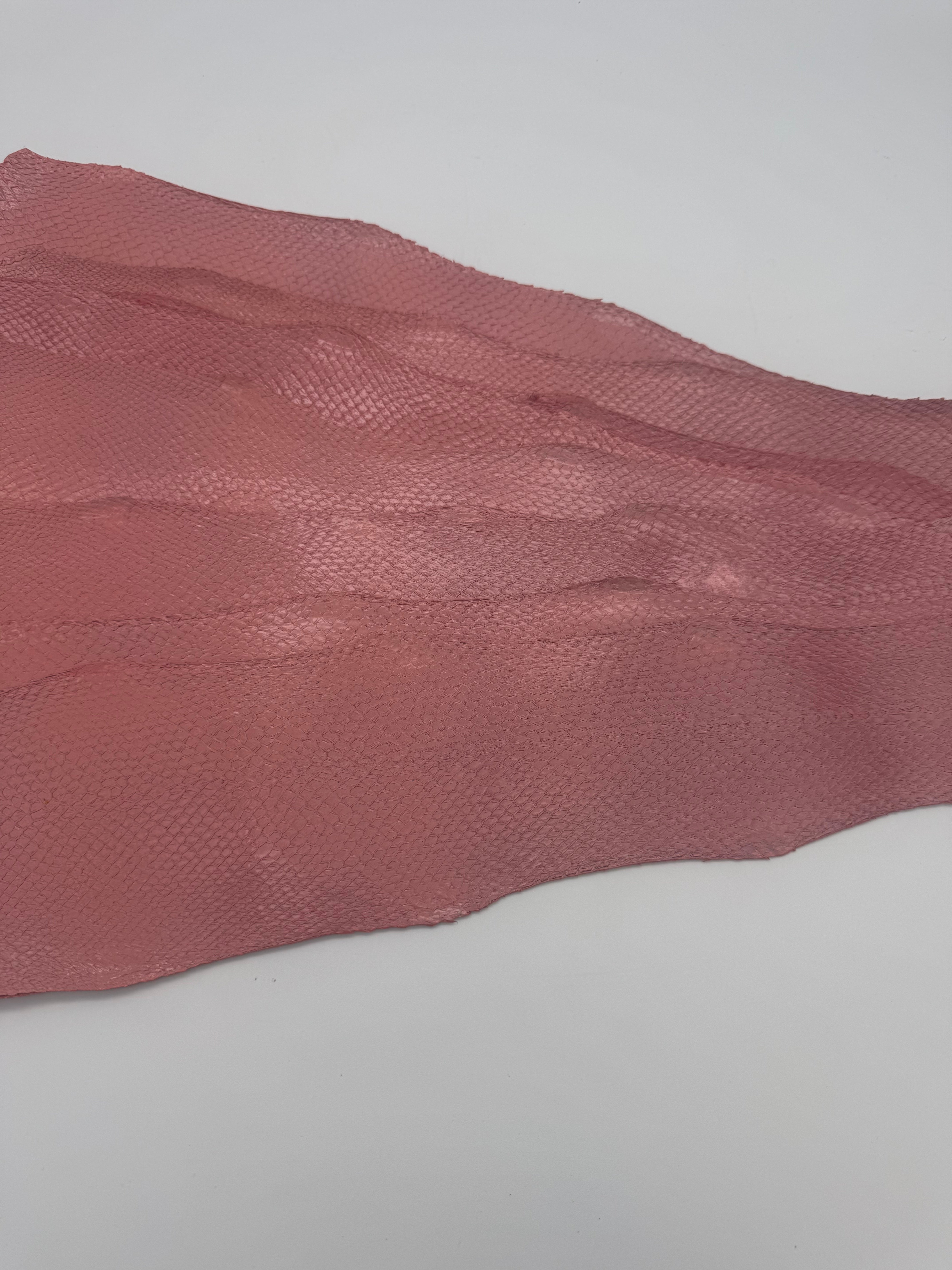 PACK de 10 SQUAMA MÉTALLISÉ Rose Lady - Taille Large - Choix 1 ICTYOS