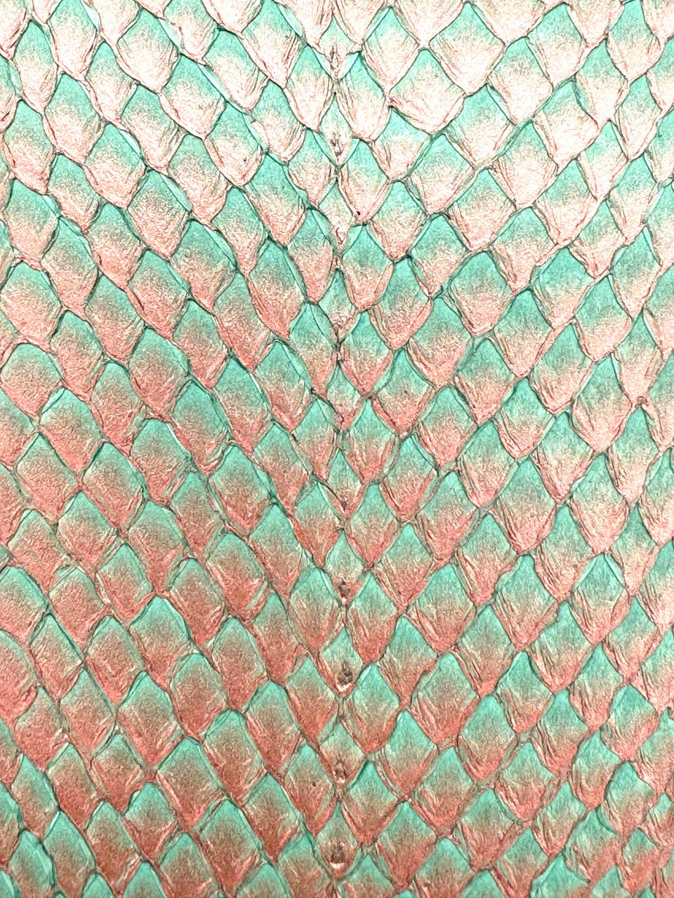 SQUAMA® DÉGRADÉ Poème ictyos-store