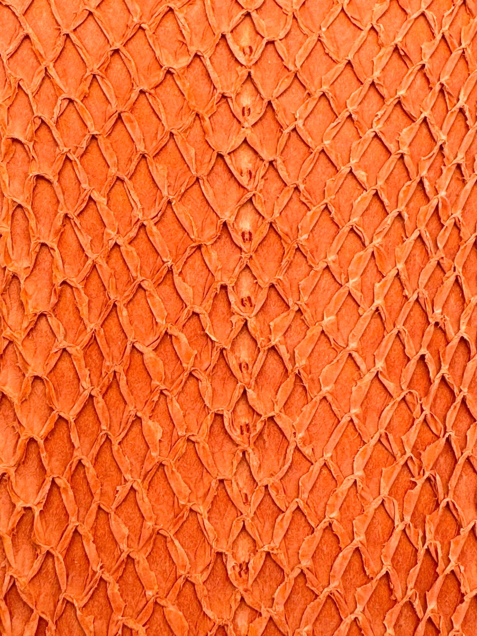 SQUAMA® BRUT Terracotta ictyos-store