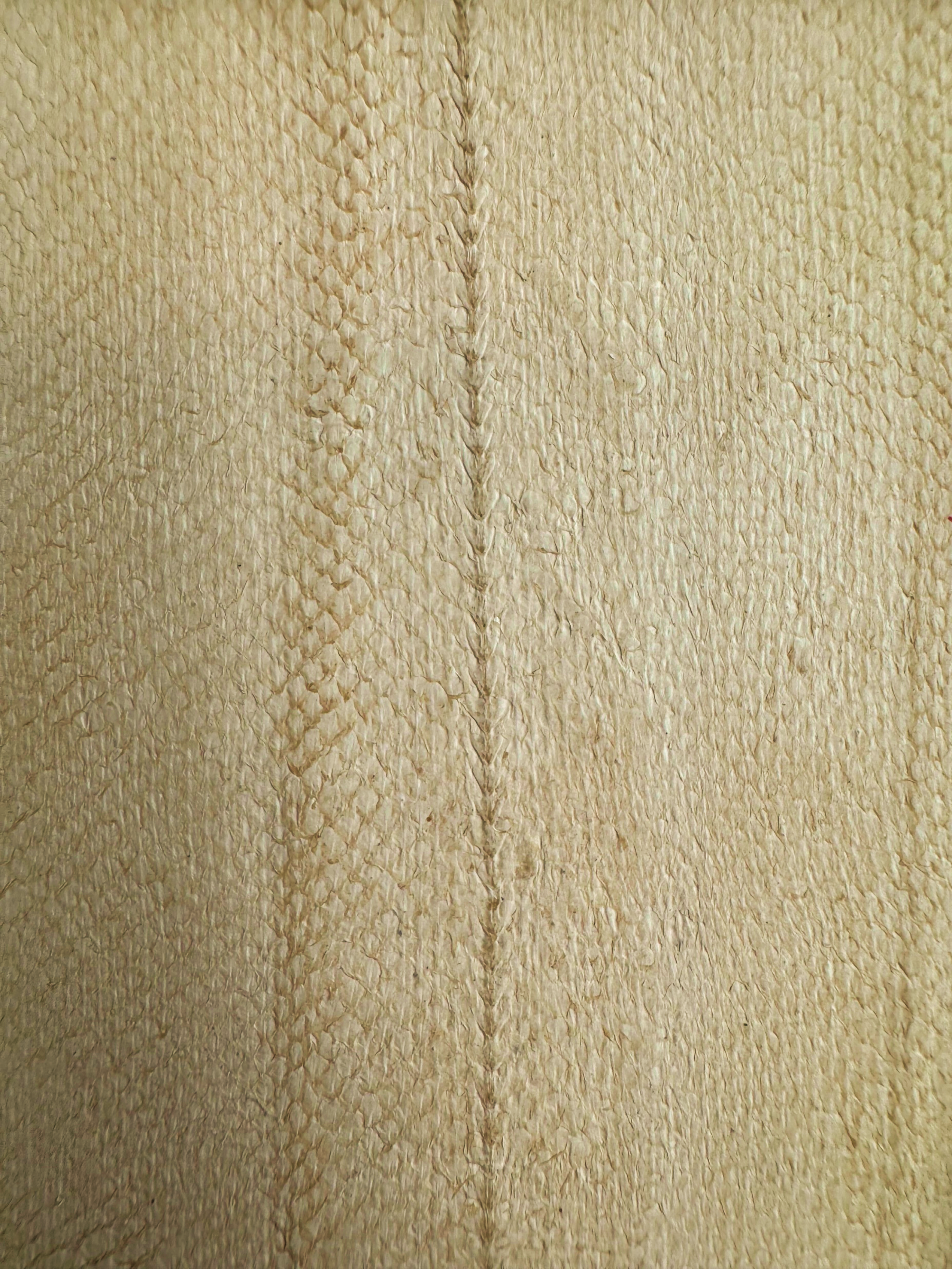 PACK DE 5 SOLA® BRILLANT Amande ictyos-store