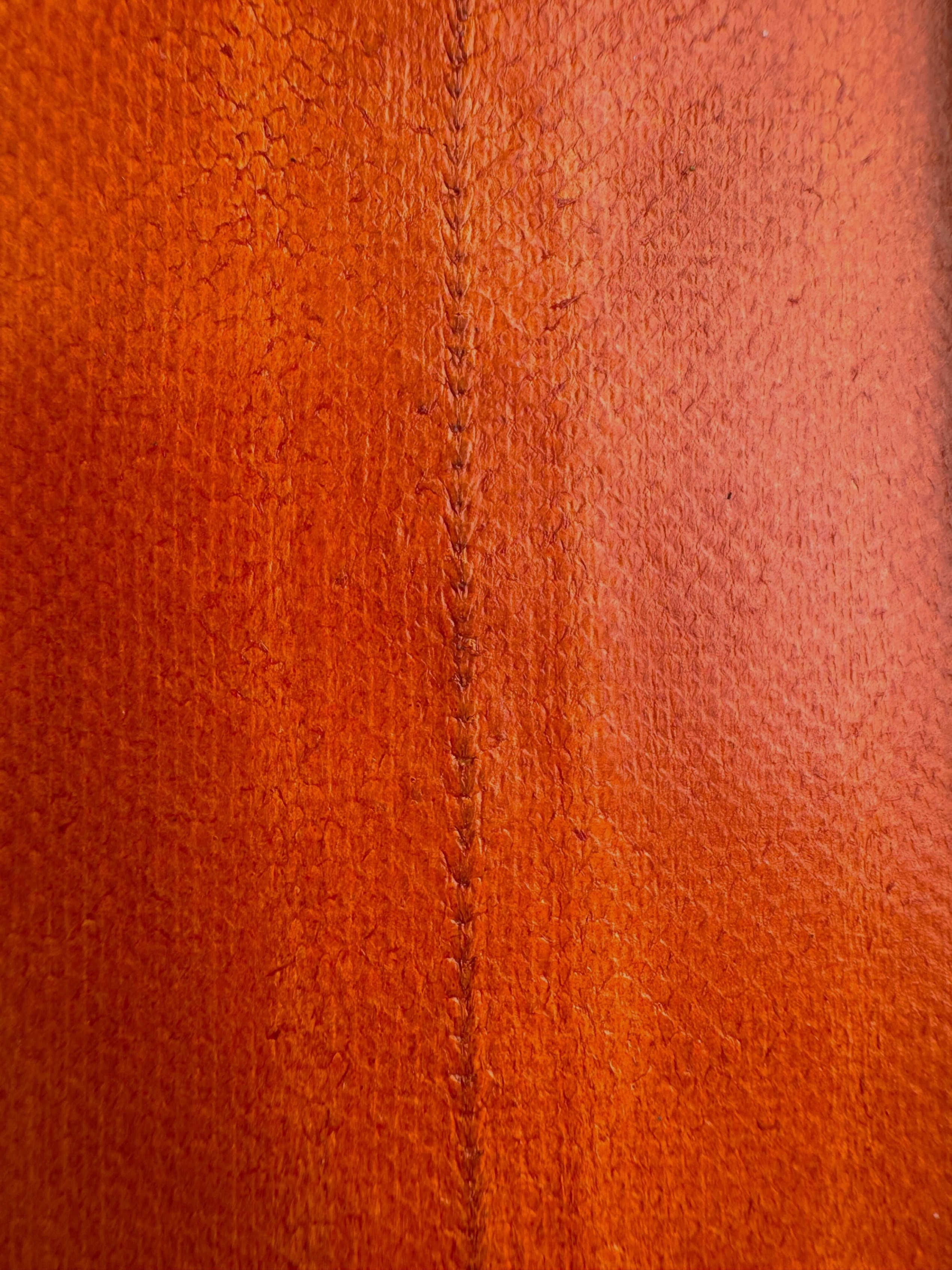 PACK DE 5 SOLA® BRILLANT Orange ictyos-store