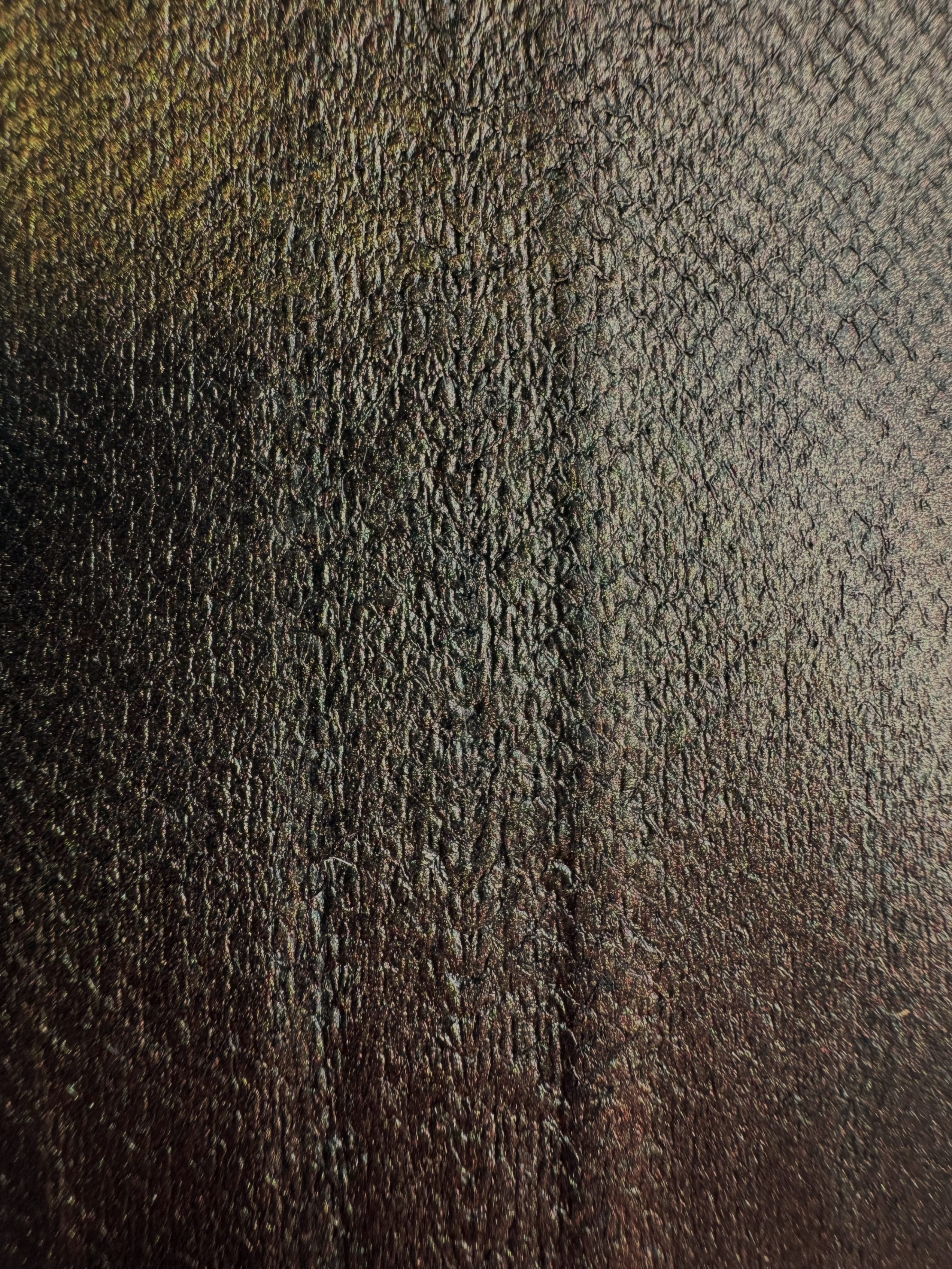 PACK DE 5 SOLA® IRISÉ Mars ictyos-store