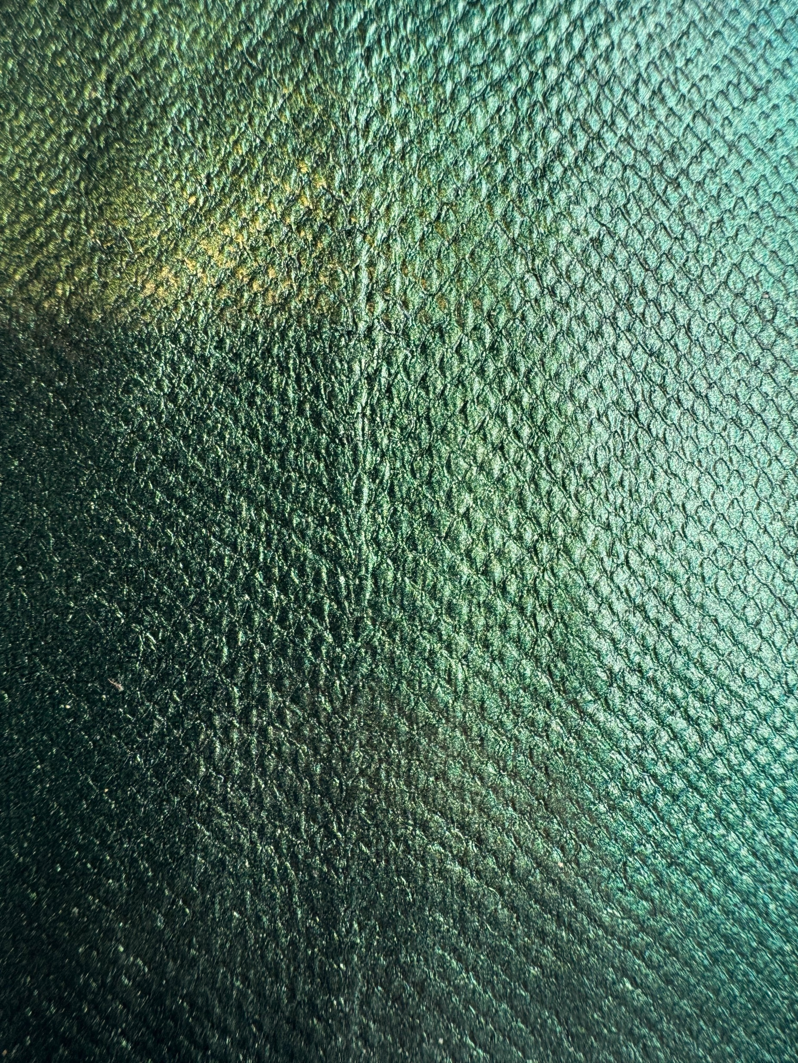 PACK DE 5 SOLA® IRISÉ Halo ictyos-store