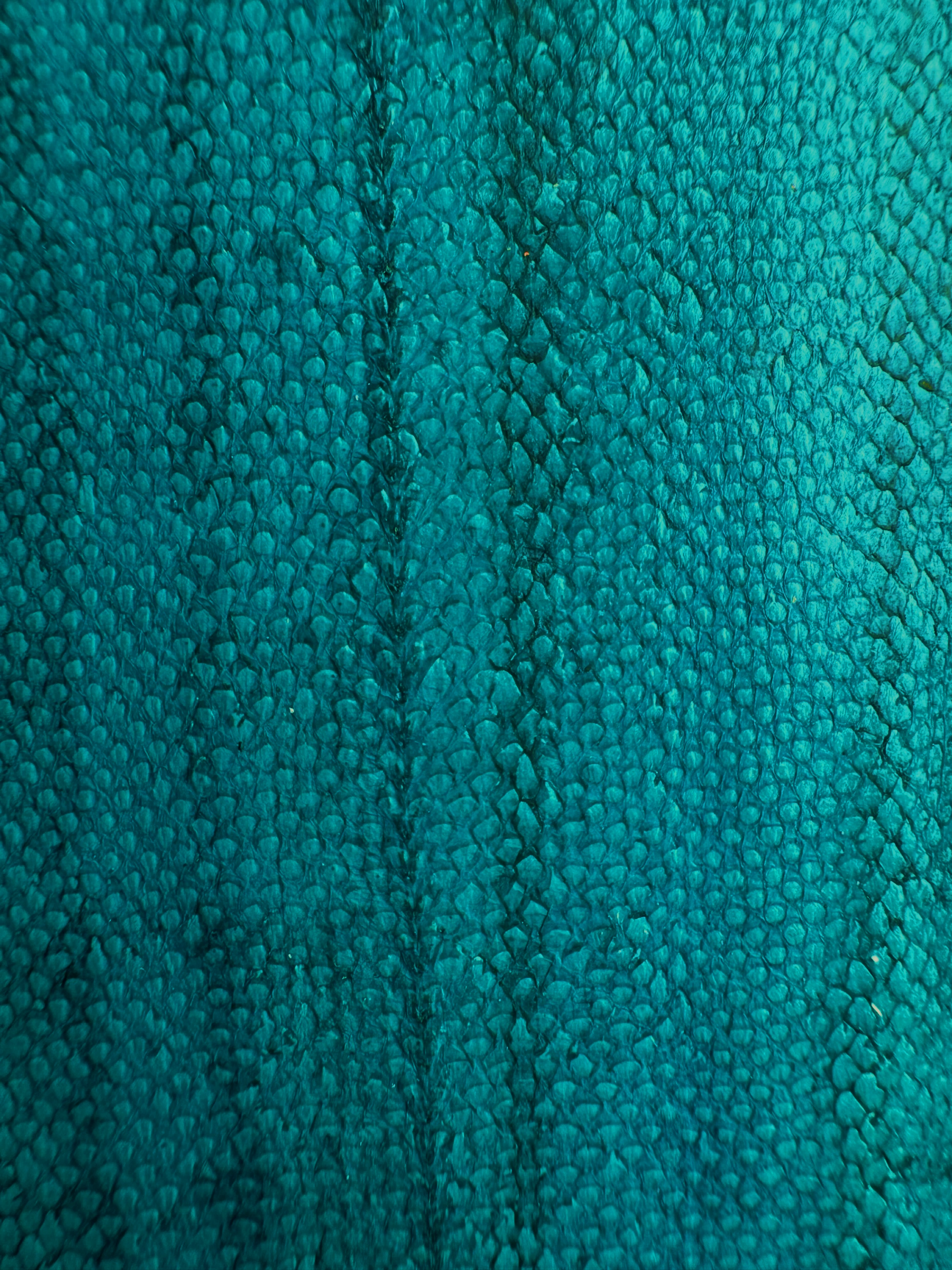 PACK DE 5 SOLA® SATINÉ Bleu Mistral ictyos-store