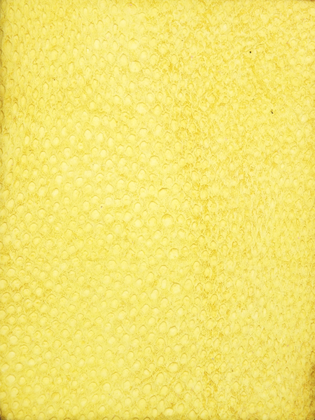 NAYA® BRUT Citron