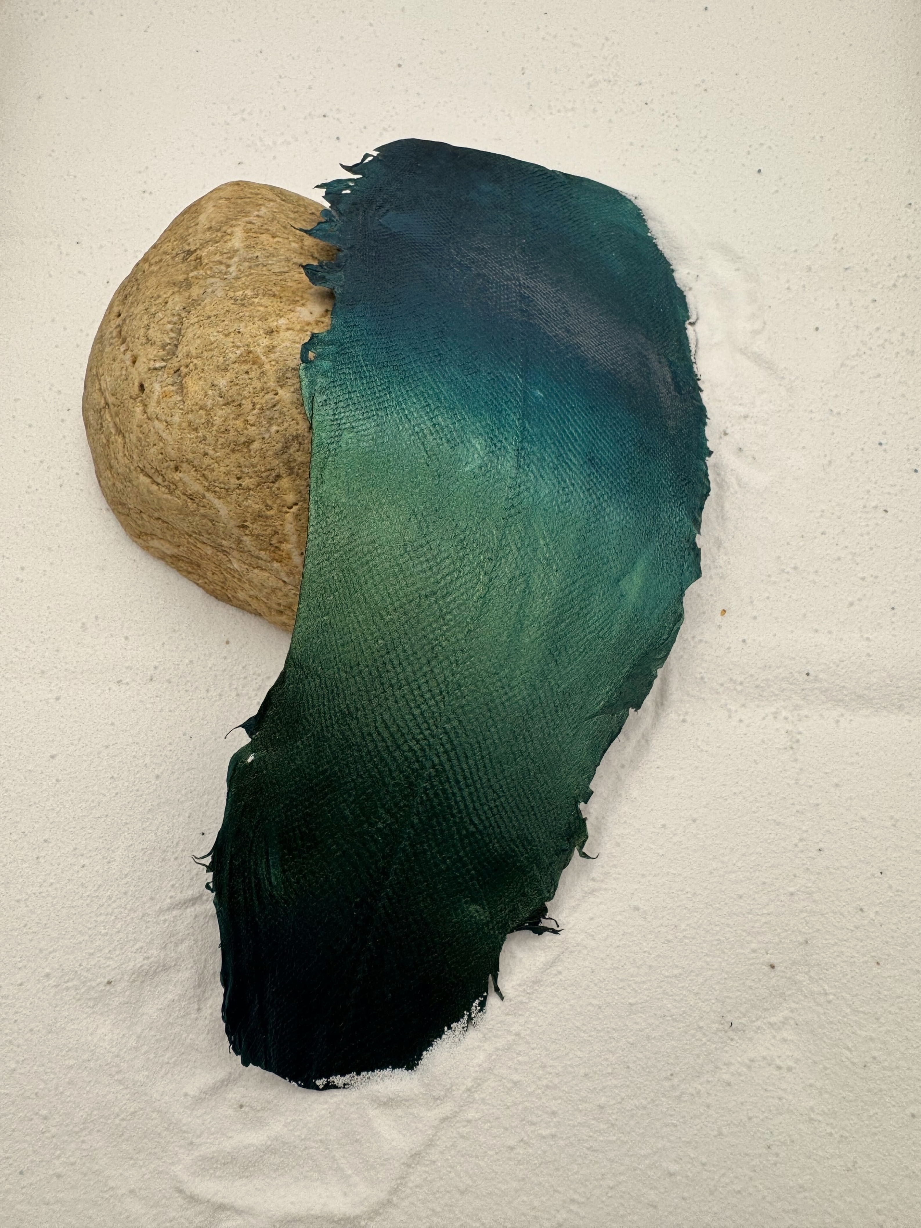 PACK DE 5 SOLA® IRISÉ Halo ictyos-store