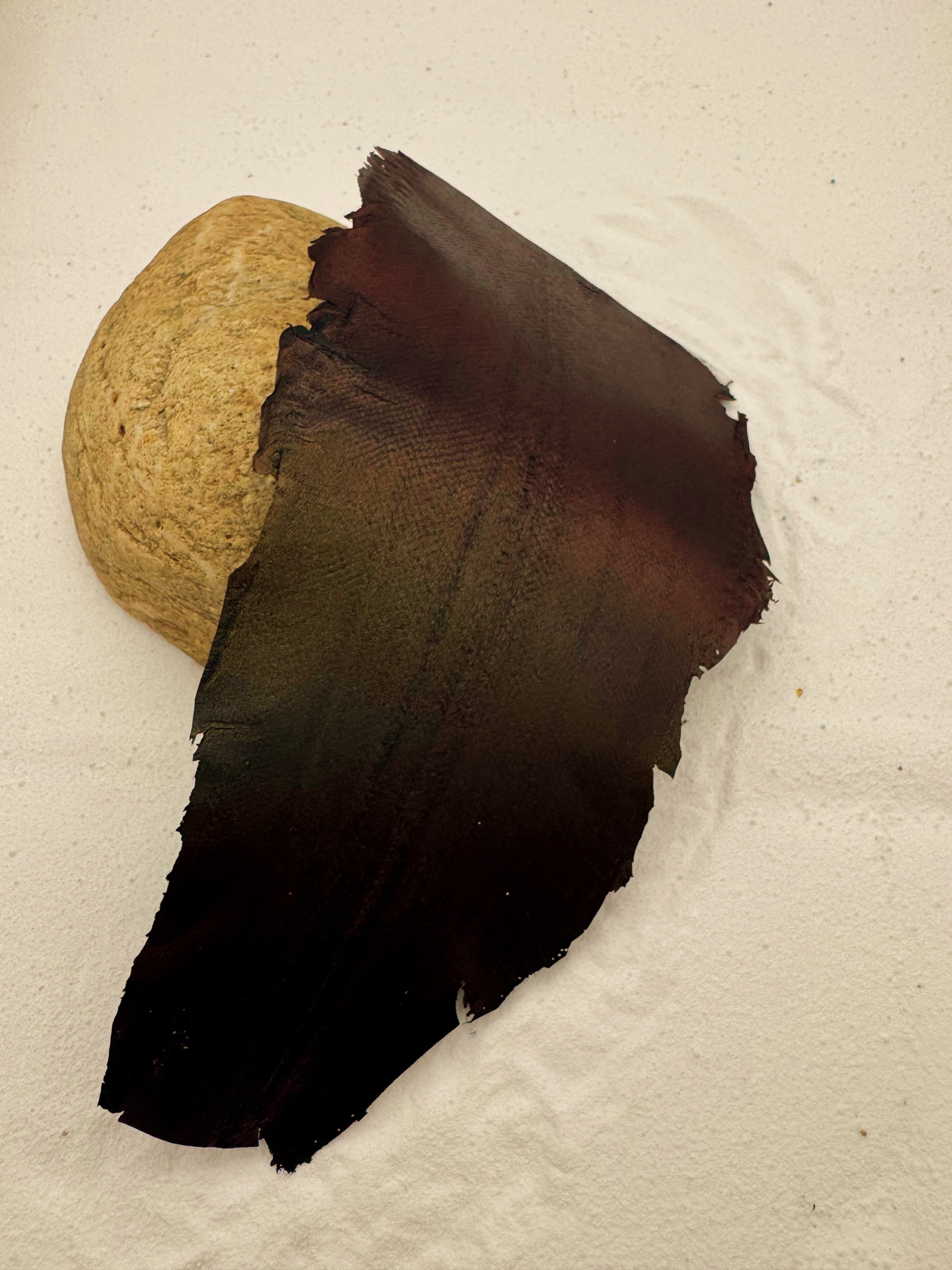 PACK DE 5 SOLA® IRISÉ Mars ictyos-store