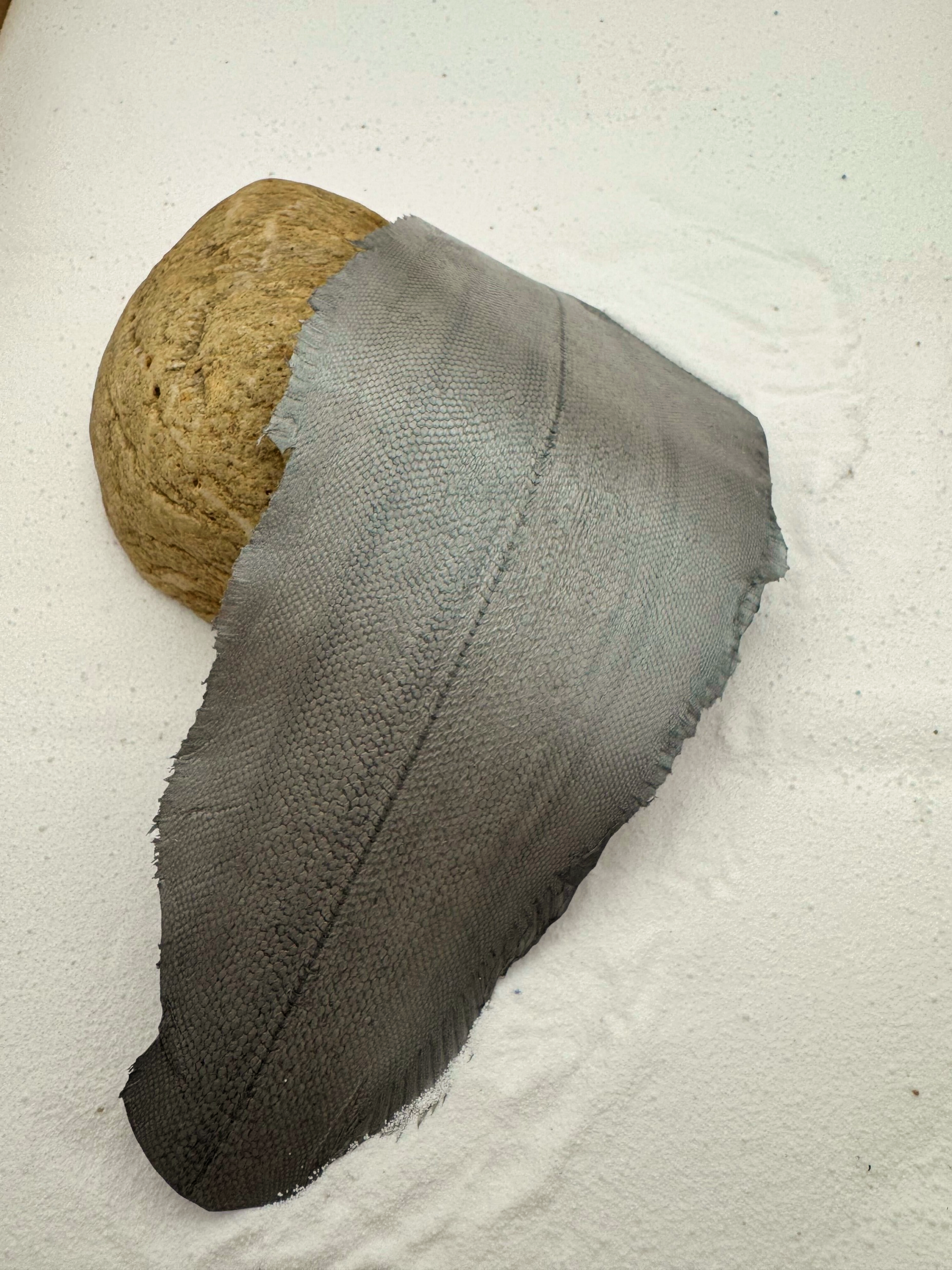 PACK DE 5 SOLA® MÉTALLISÉ Argent ictyos-store