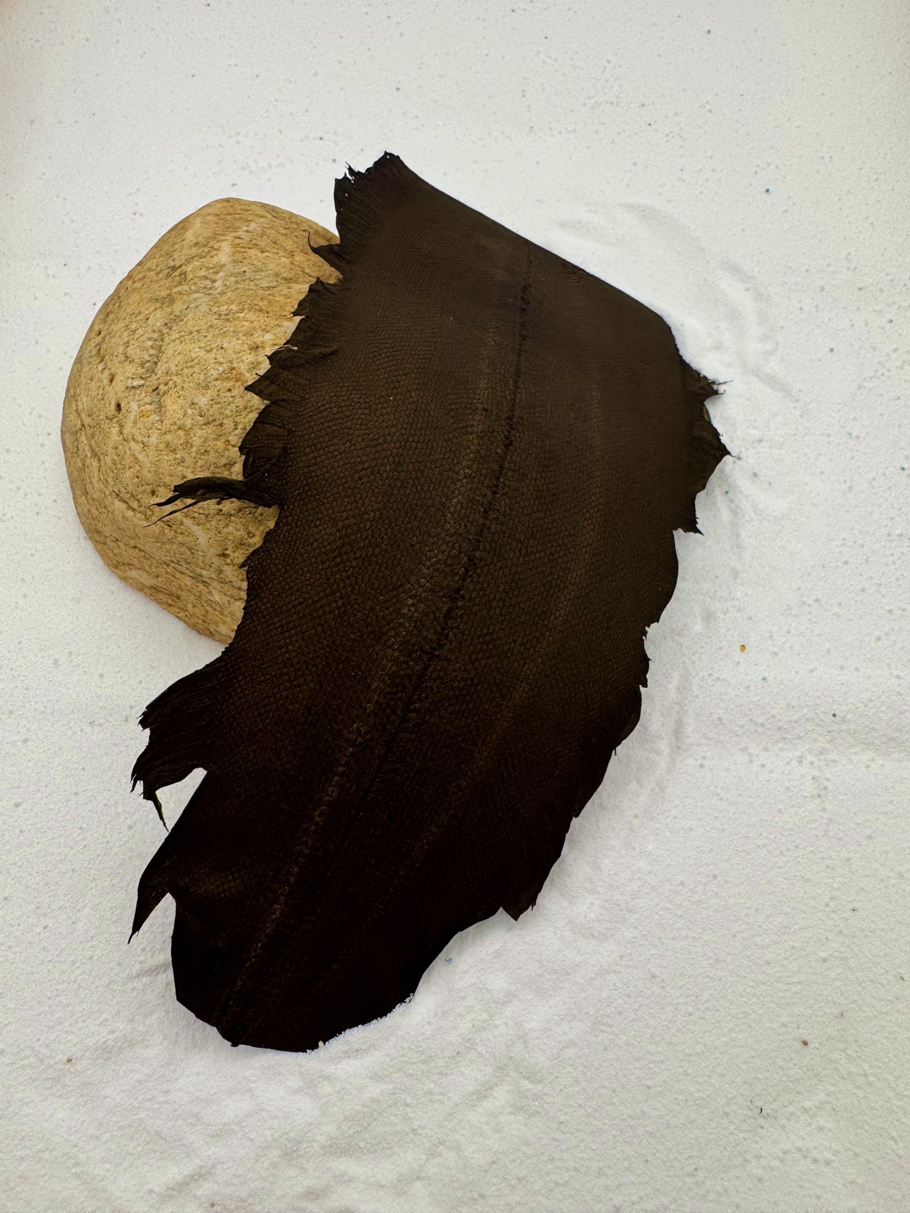 PACK DE 5 SOLA® SATINÉ Brun Racine ictyos-store