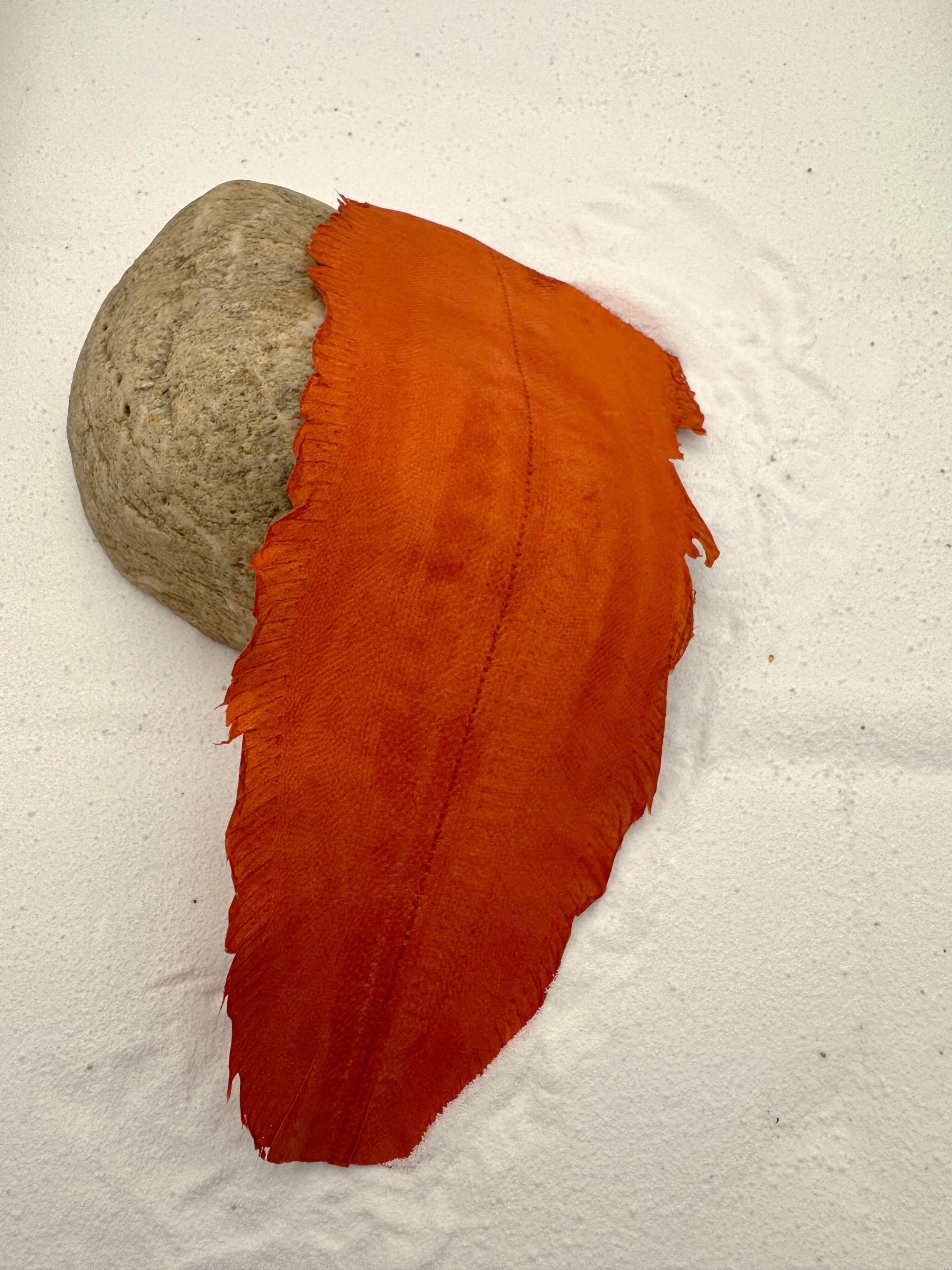 PACK DE 5 SOLA® SATINÉ Orange ictyos-store