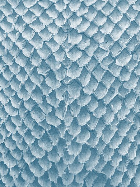 SQUAMA® DÉGRADÉ Bleu Écume