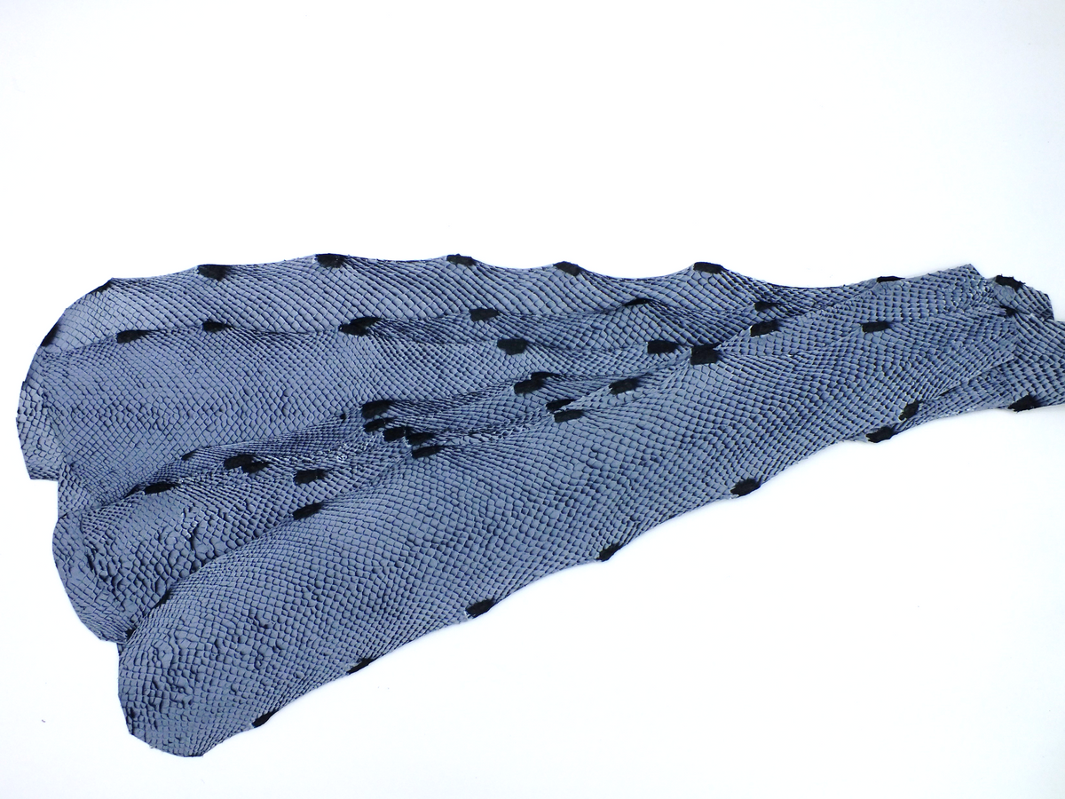 Squima PACK de 10 SQUAMA DÉGRADÉ Verglacé grisé - Taille Medium - Choix 1 – ICTYOS