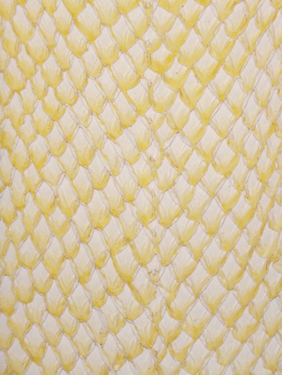 SQUAMA® DÉGRADÉ Zeste de citron