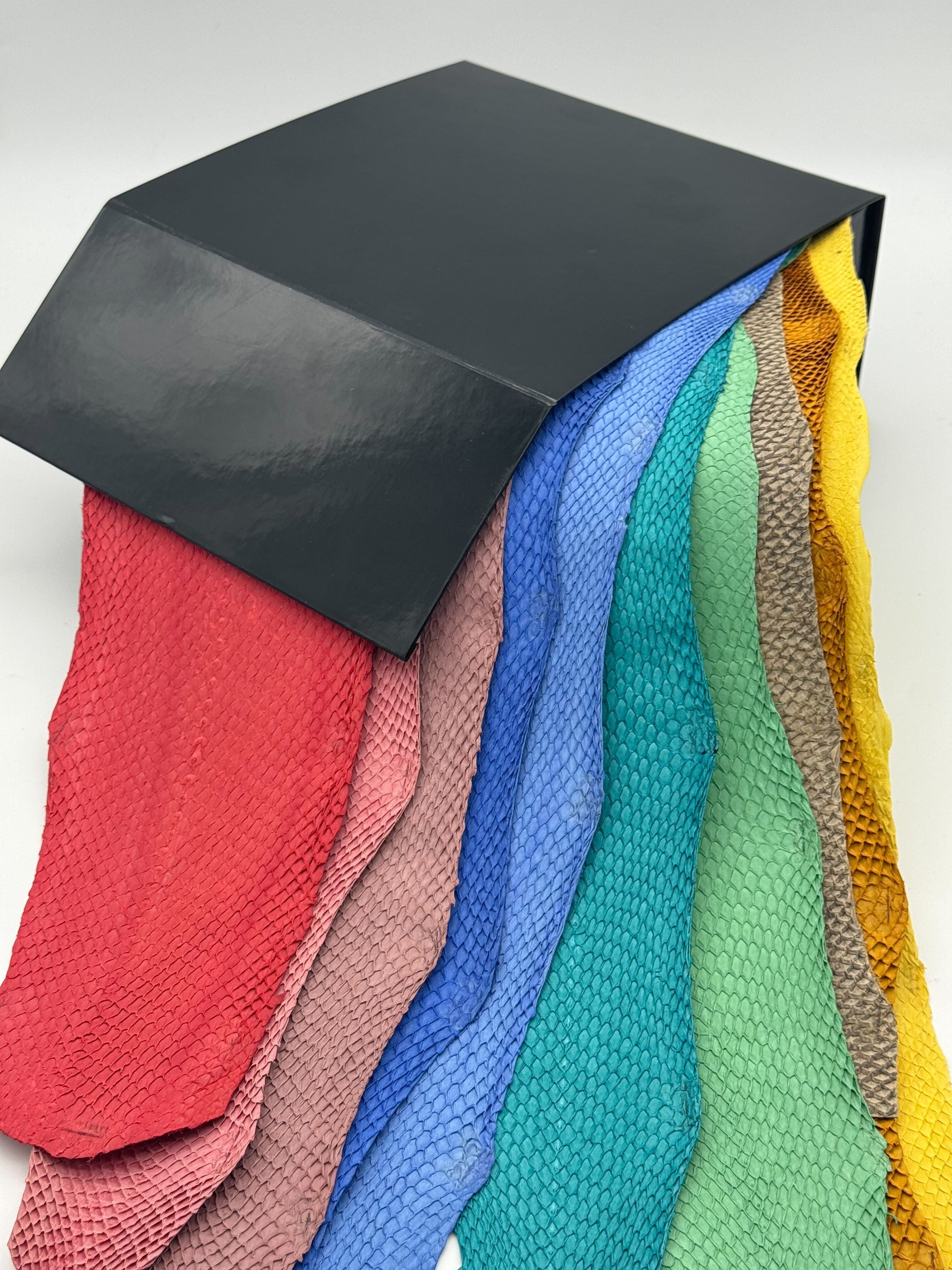 PACK MYSTÈRE : SQUAMA ICTYOS