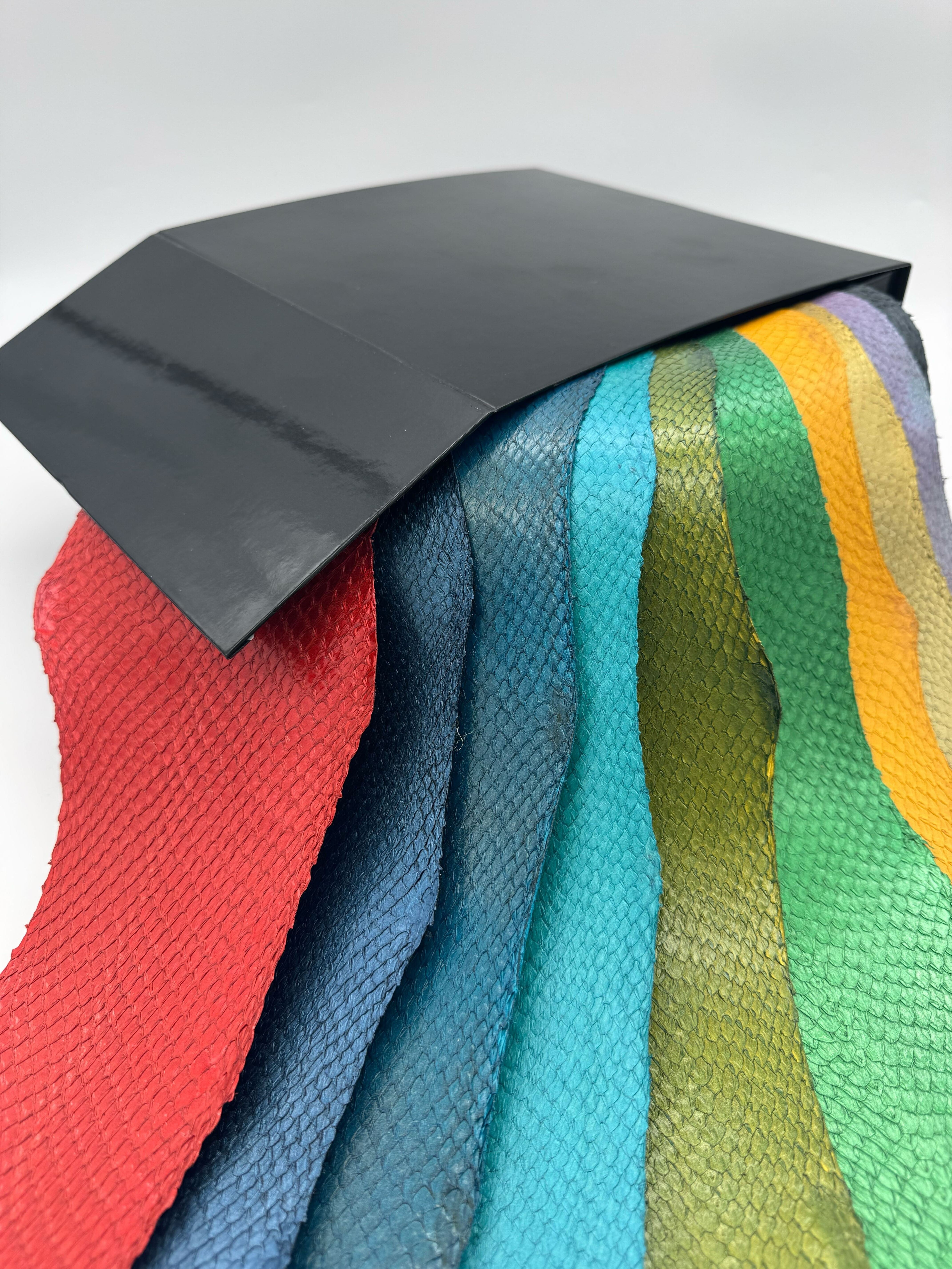 PACK MYSTÈRE : SQUAMA ICTYOS