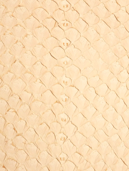 SQUAMA® BRUT Tara ictyos-store