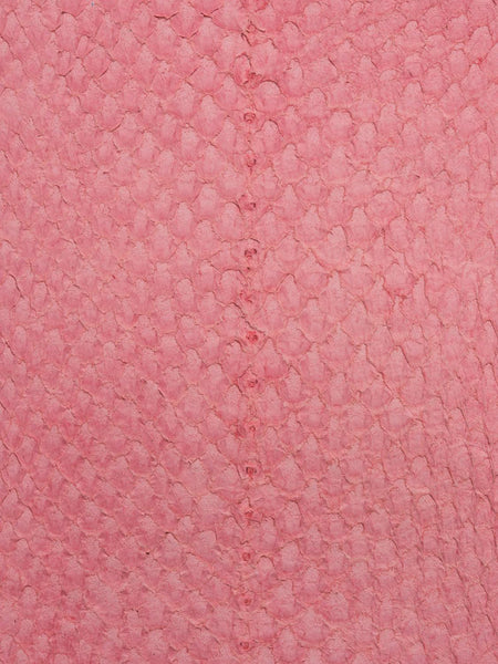 LUNA® BRUT Lotus ictyos-store